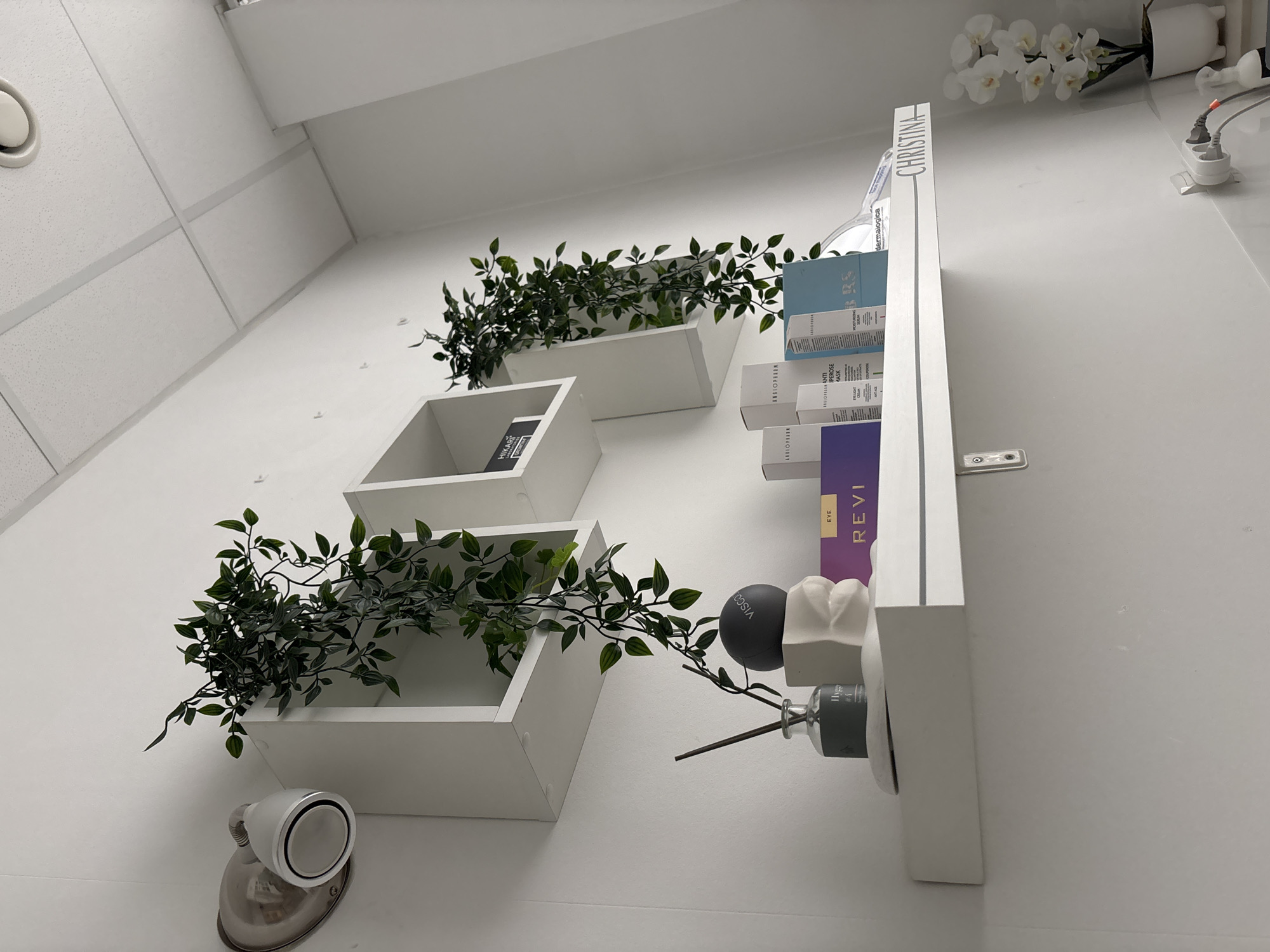 The image shows a wall with three white cube shelves, each containing greenery. On the right side of the image is a white shelf labeled "CHRISTINA" with various skincare products. The setting is an interior space with a modern, minimalist aesthetic. There is no evidence to determine the location is specifically in Romanovka, Russia.