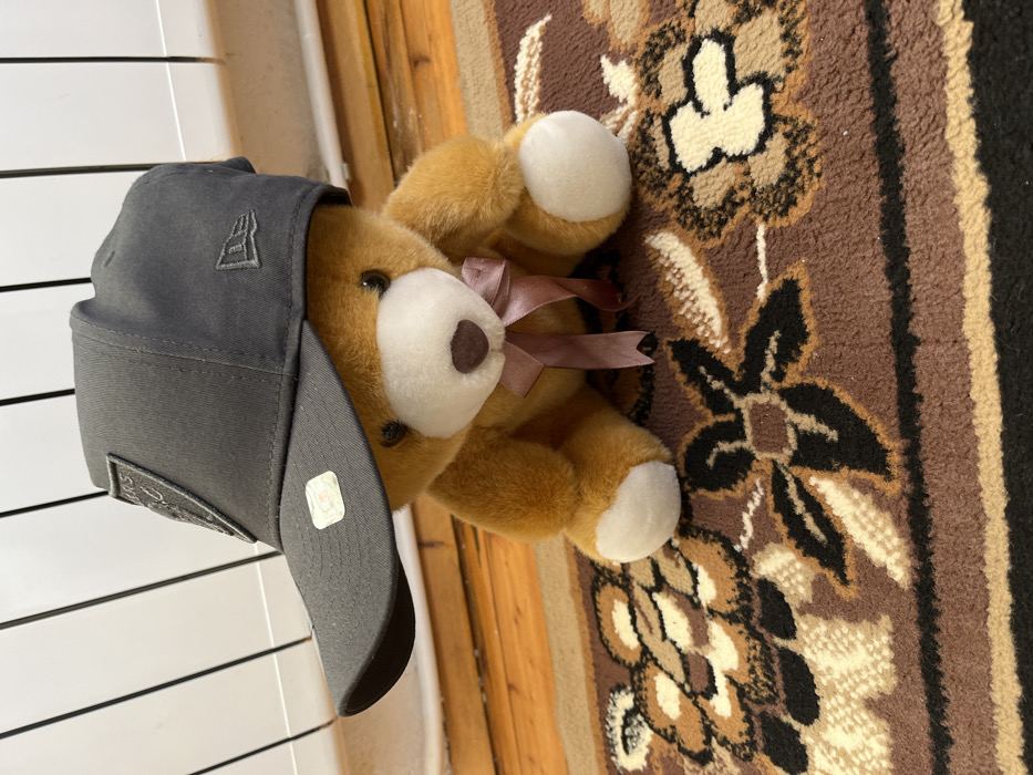 An image taken in Sheynovo, Bulgaria, depicts a light brown teddy bear seated on a patterned rug. The bear features a white muzzle, white inner ears, and white paw pads, with black bead eyes and a dark brown stitched nose. A pink-mauve satin ribbon is tied in a bow around its neck. The teddy bear is wearing a dark grey baseball cap with a flat brim, positioned low on its head, obscuring the upper portion of its face. The cap displays a dark grey rectangular patch on the front, embossed with a logo resembling "RAIDERS LLC" within a shield design. A small, clear sticker with holographic elements is affixed to the left side of the cap's brim. A subtle grey New Era logo is embroidered on the left side of the cap.
The bear is positioned on a rug with a predominantly dark brown field, adorned with stylized floral or leaf patterns in shades of beige, cream, black, and lighter brown. The rug features a dark black border with thin tan stripes. Behind the bear, a light brown wooden floor is visible. In the background, a white heating radiator with vertical fins extends horizontally, partially obscured by the bear and the cap. Vertical elements of what appear to be window blinds or a curtain rod are visible above the radiator.