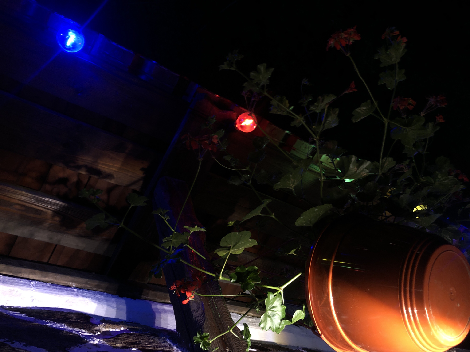 The image shows a close-up of a planter with green leaves and red flowers, illuminated by colored lights. A large orange planter is visible on the right side, angled upwards. The planter is hanging from a wooden structure, possibly a ceiling or an overhang. Strings of blue and red lights are draped above, casting a colorful glow on the foliage and wooden beams. One blue light is clearly visible in the upper left corner, and a red light is visible near the center. The background is dark, suggesting it is nighttime or a dimly lit area. The scene appears to be outdoors, possibly a balcony, patio, or garden area. The presence of decorative lights suggests an evening setting, perhaps for ambiance or a festive occasion. The image is taken from a low angle, looking up at the planter and lights. No people are visible, and the focus is on the plant and decorative lighting. The location is identified as Khimki, Russia, but this context does not provide further visual cues within the image itself. The overall mood is somewhat atmospheric due to the colored lighting against the dark background.