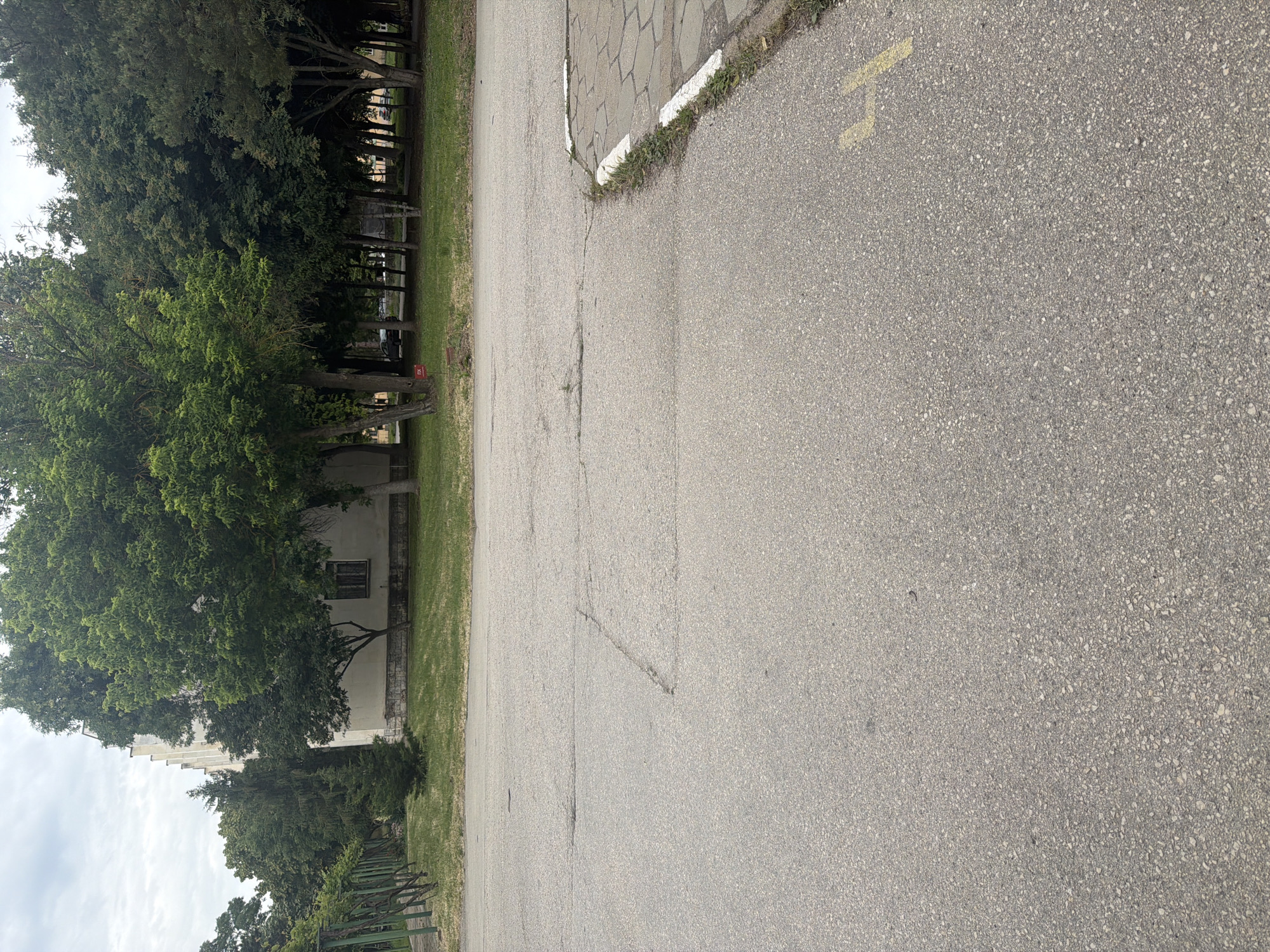 The image shows a paved road in Dolna Mitropolia, Bulgaria. The road surface is gray asphalt. Along the left side of the road is a strip of grass and trees. A building is visible behind the trees. On the right side of the road, there is a paved sidewalk. A yellow marking is visible on the road surface. The sky is overcast.