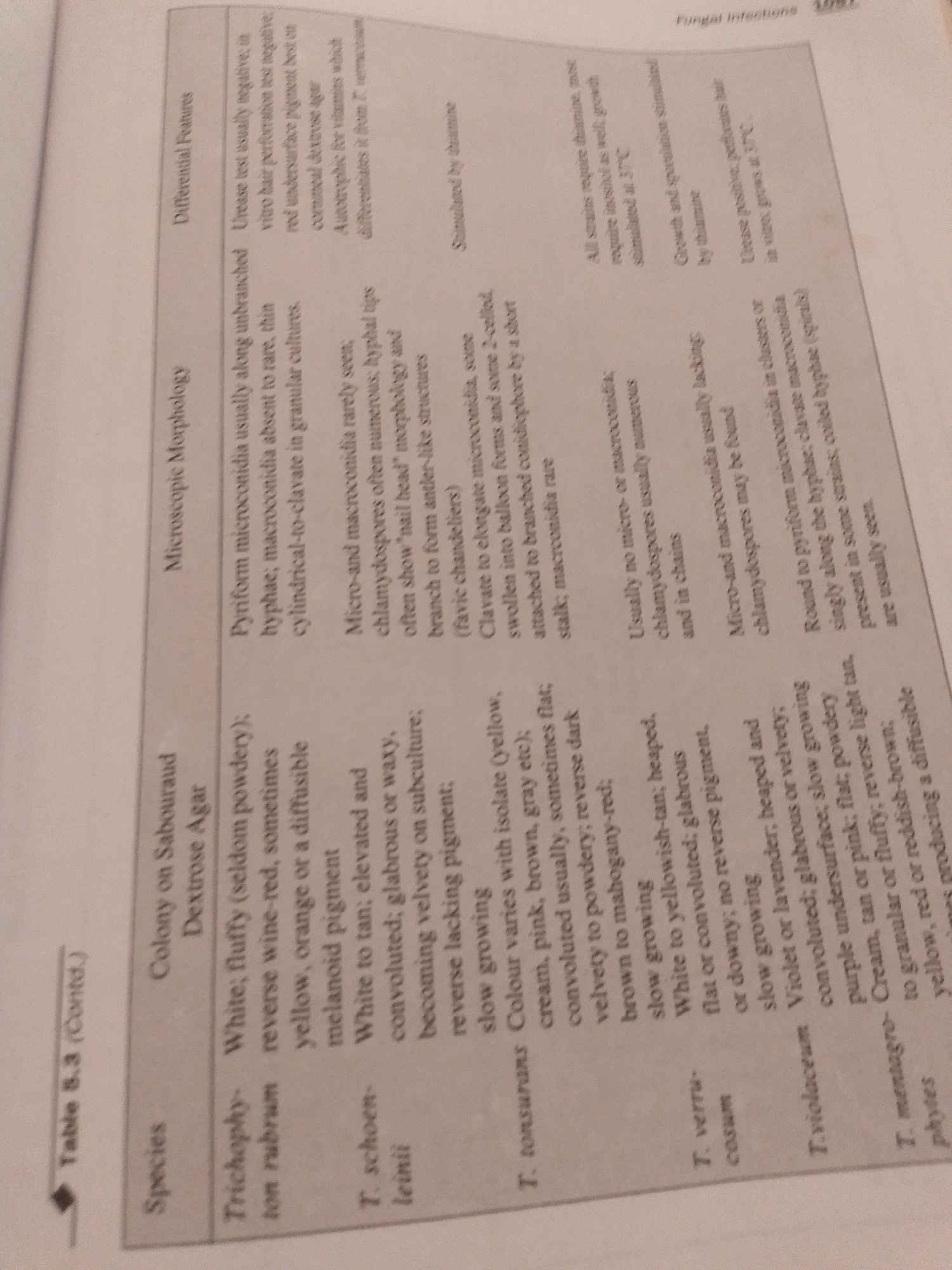 The image is a scanned page from a textbook or reference guide, likely related to mycology or infectious diseases. The focus is on a table, "Table 5.3 (Contd.)", which compares different species of fungi, specifically *Trichophyton* species.
The table is organized into three columns: "Species", "Colony on Sabouraud Dextrose Agar", and "Microscopic Morphology", with an additional column "Differential Features" to the right. Each row details the characteristics of a specific *Trichophyton* species, including *T. rubrum*, *T. schoenleinii*, *T. tonsurans*, *T. verrucosum*, *T. violaceum*, and *T. mentagrophytes*. The text describes colony appearance, pigment production, and microscopic structures like microconidia, macroconidia, and chlamydospores, along with diagnostic features such as urease test results and growth requirements.
The overall scene is that of a printed document laid flat, likely on a desk or table, with the lighting suggesting an indoor setting. There are no people or animals visible. The image is slightly tilted, and the text, while legible, has some blurriness and is not perfectly sharp. The content is purely informational and academic. No specific time of day, weather, or emotional cues are present. The location context provided ("Jauro Yinu, Nigeria") is external to the image content itself and likely refers to the origin or context of the document, not depicted in the photograph.