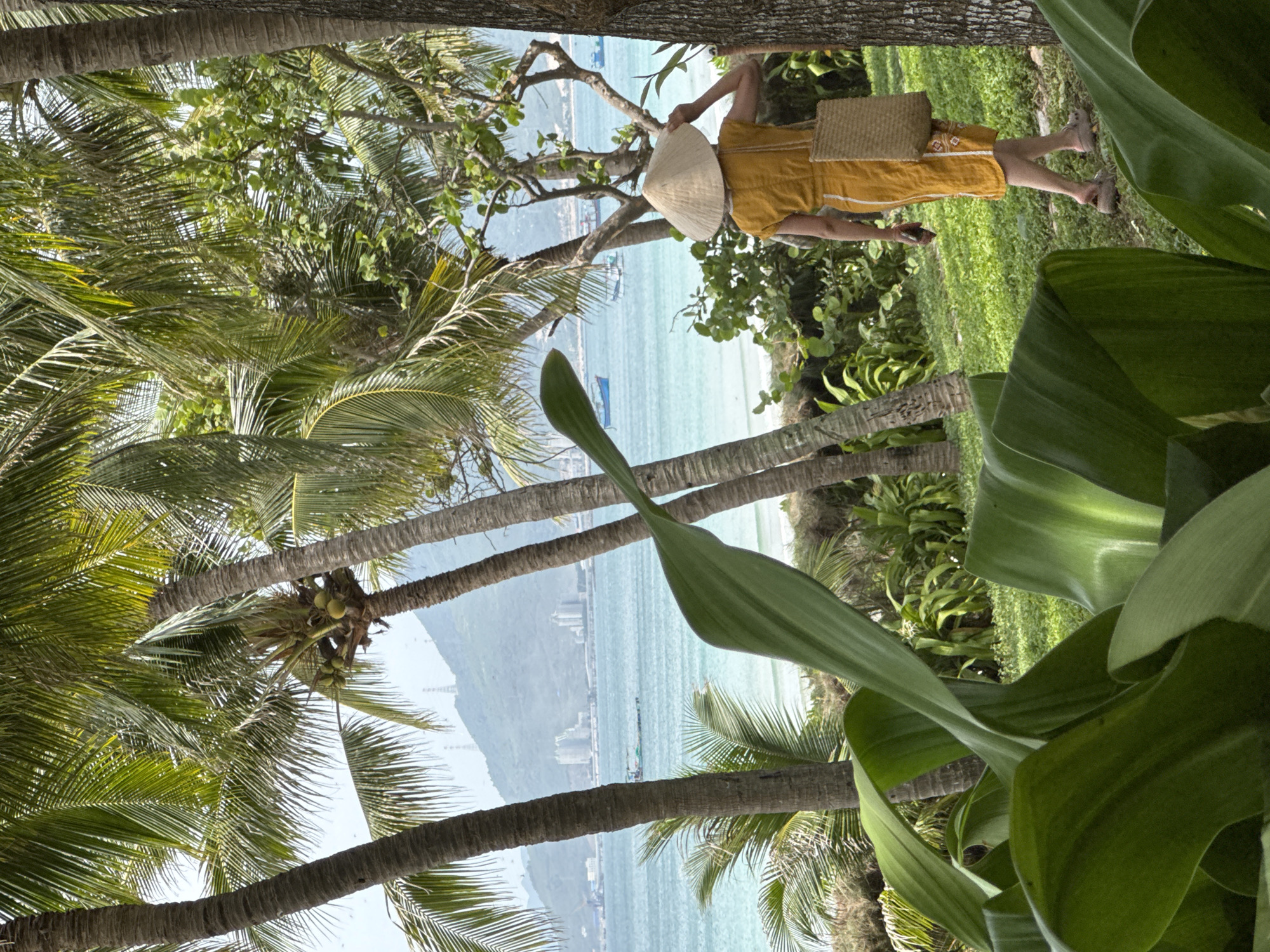 A woman wearing a yellow dress and a conical hat walks away from the camera towards the ocean in Đông Ninh Hòa, Vietnam. She carries a woven bag over her shoulder and is holding a phone in her left hand. The background features lush green palm trees, a grassy area, and the turquoise ocean with boats. In the distance, mountains and buildings can be seen along the coastline. The foreground is dominated by large, green leaves.