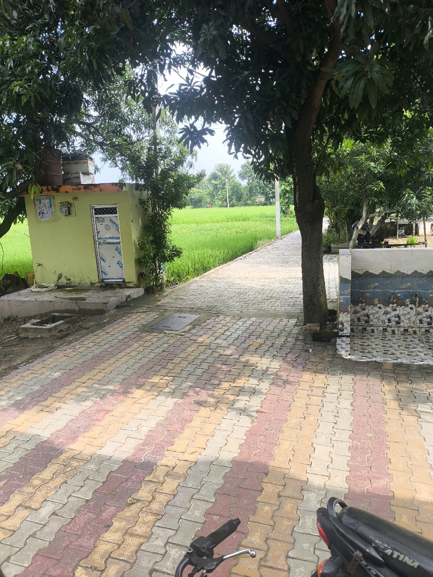 Memory