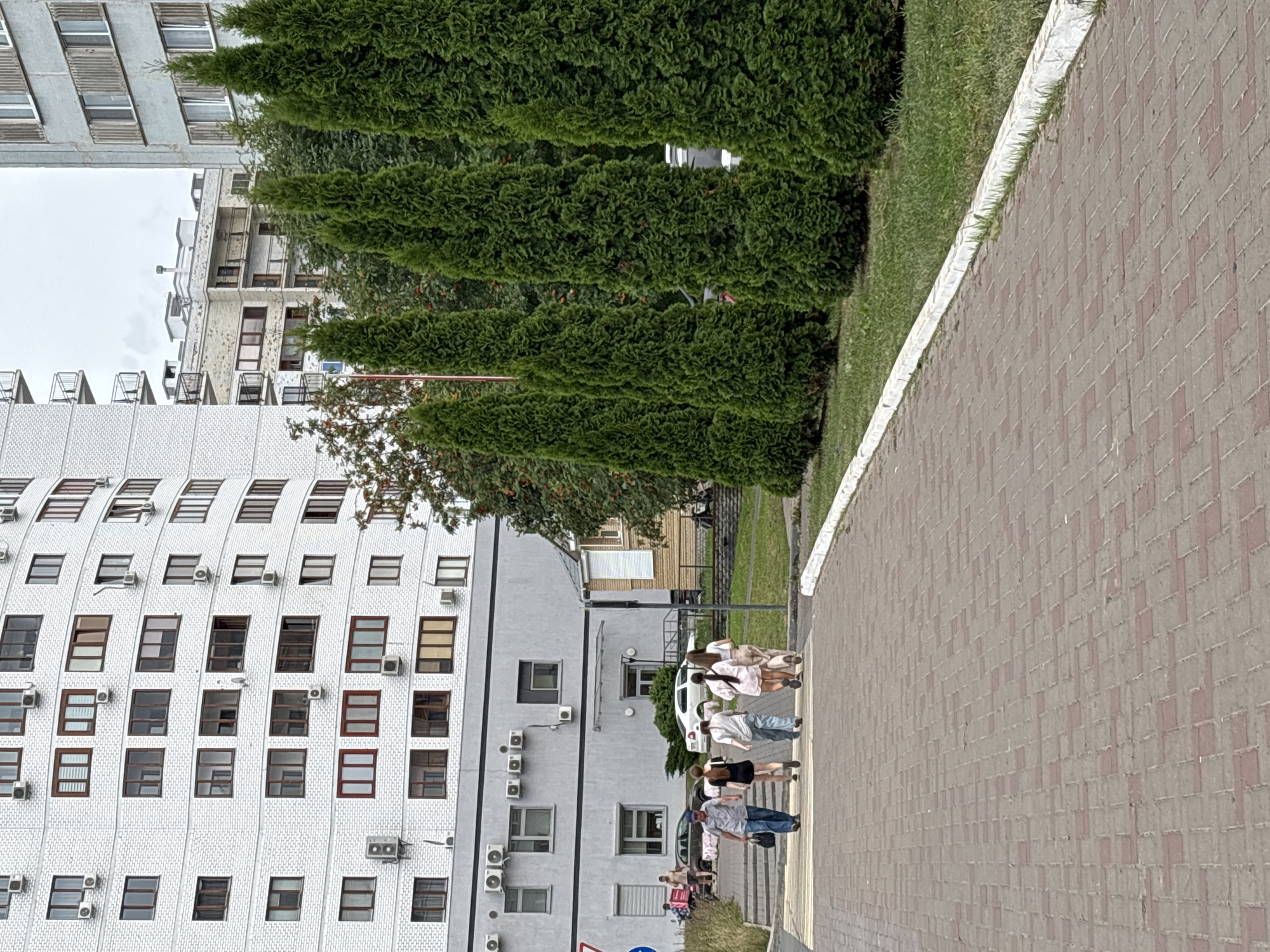 In Naberezhnye Chelny, Russia, a group of five people is captured from behind, walking across a pedestrian crossing paved with red and grey brickwork. The group consists of a man in a blue shirt and jeans, followed by four individuals, presumably women, dressed in a black dress, a grey top with light blue pants, and two in light pink outfits. They are walking from left to right on the image towards a row of tall, manicured green coniferous trees. Behind the trees, a modern multi-story white building with numerous windows and air conditioning units is visible. To the right of the white building, another taller, grey concrete building with visible balcony structures stands. Further in the background, more buildings and trees are visible under an overcast sky. The foreground shows a paved walkway with a white-painted curb bordering a grassy area.