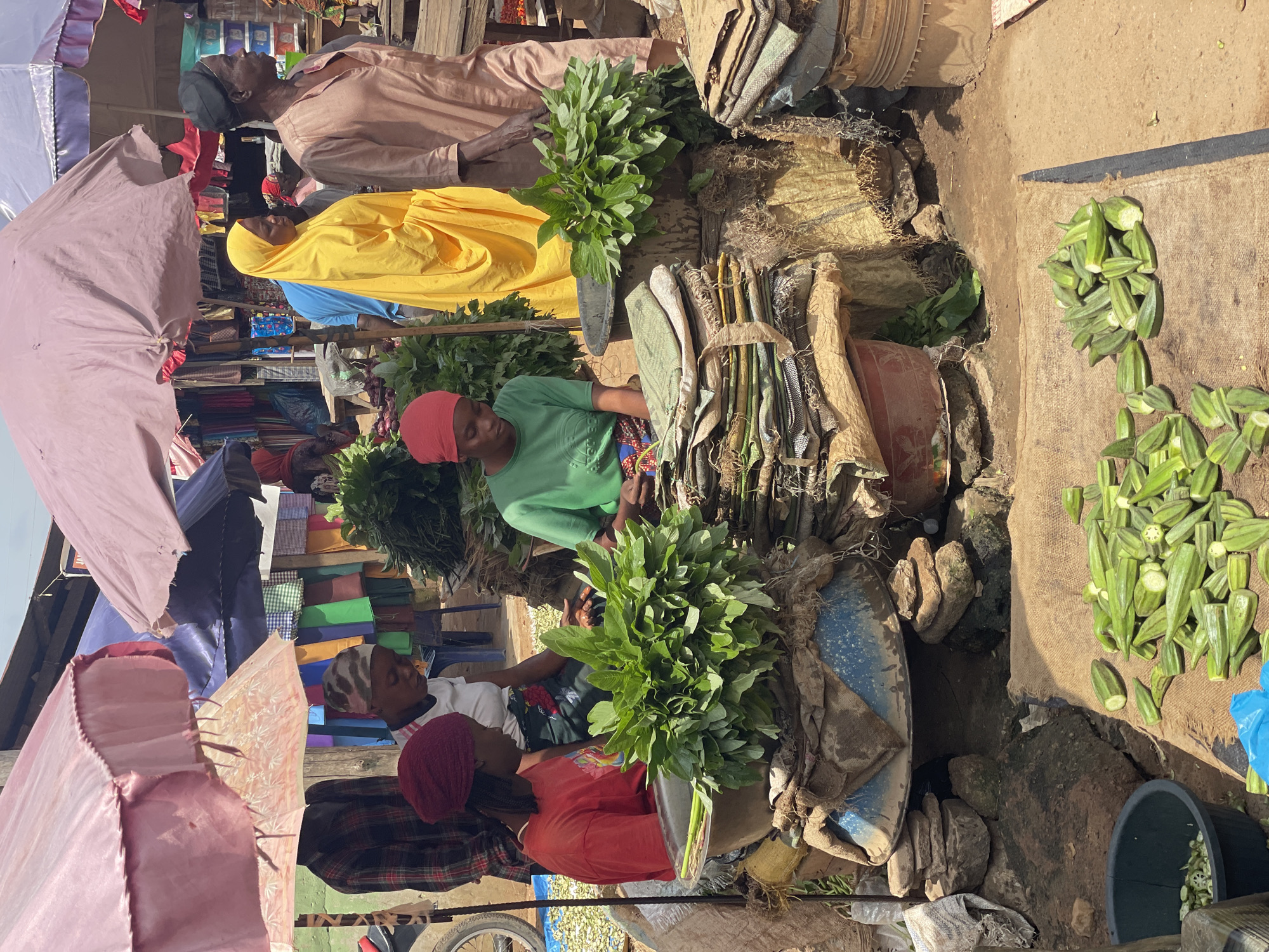 This image captures a vibrant outdoor market scene in Akwanga, Nigeria, likely within the central market area. The foreground is dominated by piles of fresh produce, prominently featuring okra and leafy green vegetables arranged on jute sacks and in a large blue basin. Several individuals are engaged in market activities. Two women are seated, tending to the vegetables; one in a red headscarf and red t-shirt, the other in a green t-shirt and patterned skirt. Another woman, adorned in a bright yellow hijab, stands and appears to be interacting with a man in a beige robe, who is also standing. In the background, various stalls with colorful fabrics and other goods are visible beneath a canopy of umbrellas, suggesting a bustling marketplace environment. The ground appears to be dusty earth, typical of an outdoor market in the region.