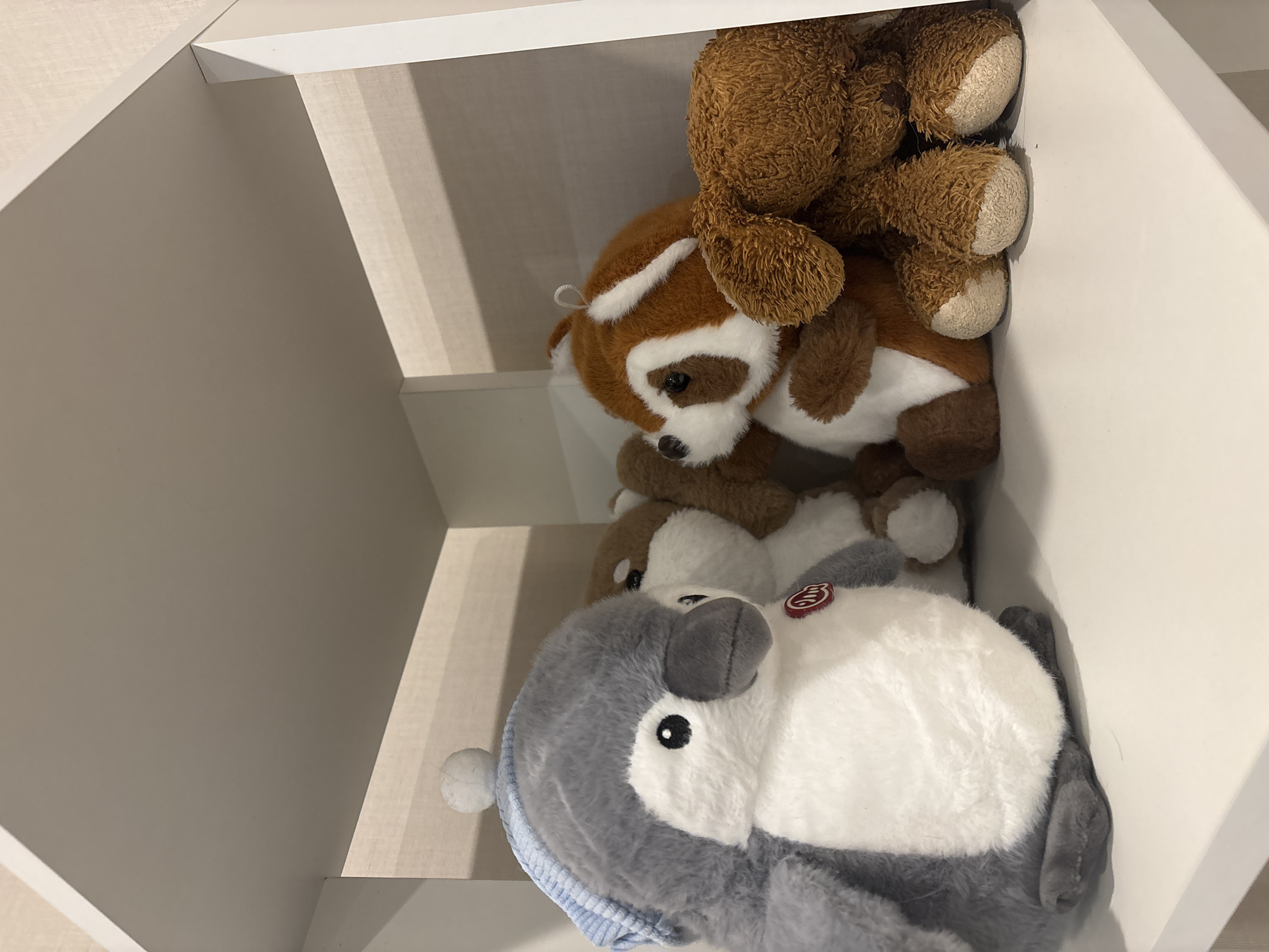 This is a close-up, eye-level, indoor photograph of four stuffed animals on a white shelf. The stuffed animals are a grey penguin wearing a blue knitted hat with a white pom-pom, a light brown and white dog, a red panda, and a dark brown dog. The penguin is in the foreground on the left, facing slightly right. The other three stuffed animals are behind the penguin and to its right, clustered together. The background is a textured, off-white wall. The lighting is soft and diffused.