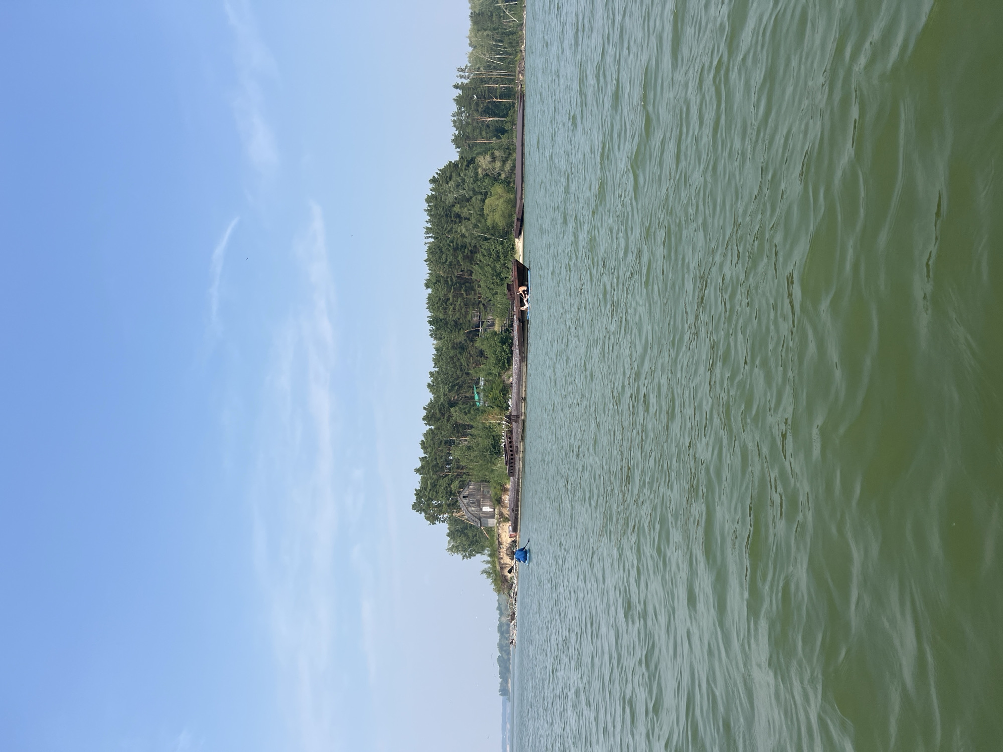 The image depicts a serene waterfront scene with a calm, green body of water in the foreground. In the background, a densely wooded island or peninsula stretches across the horizon, dotted with trees. Several old, rusted barges or shipwrecks are partially submerged along the shoreline. On the island, a dilapidated wooden structure, possibly an abandoned building, is visible amidst the trees. A person is seen in the distance, paddling a blue kayak or canoe on the water. The sky above is a clear, light blue with a few wispy clouds and a couple of distant birds. The scene is bathed in natural daylight, suggesting a pleasant, clear day. The overall impression is one of natural beauty with elements of decay and human activity. The location is identified as Borovoe, Russia, though specific landmarks within the city are not discernible from the image alone.