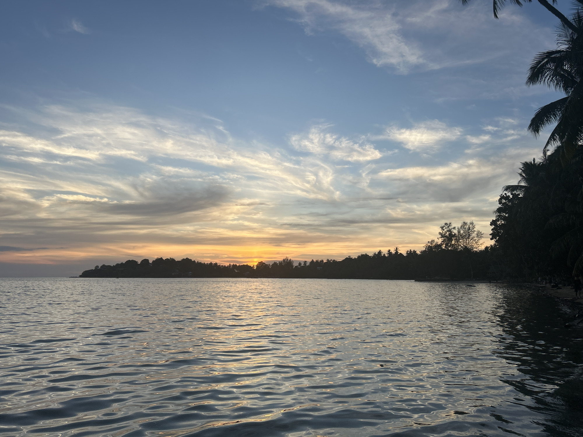 The image depicts a serene sunset scene in ตำบลเกาะพะงัน, Thailand. The sky displays a gradient of blue and orange hues, adorned with wispy clouds. A body of water, likely a sea or bay, occupies the lower half of the frame, reflecting the colors of the sky with gentle ripples. In the distance, a landmass with dense trees forms a silhouette against the setting sun. Palm trees line the right edge of the frame, adding a tropical element to the composition. No people are clearly visible in the primary focus.