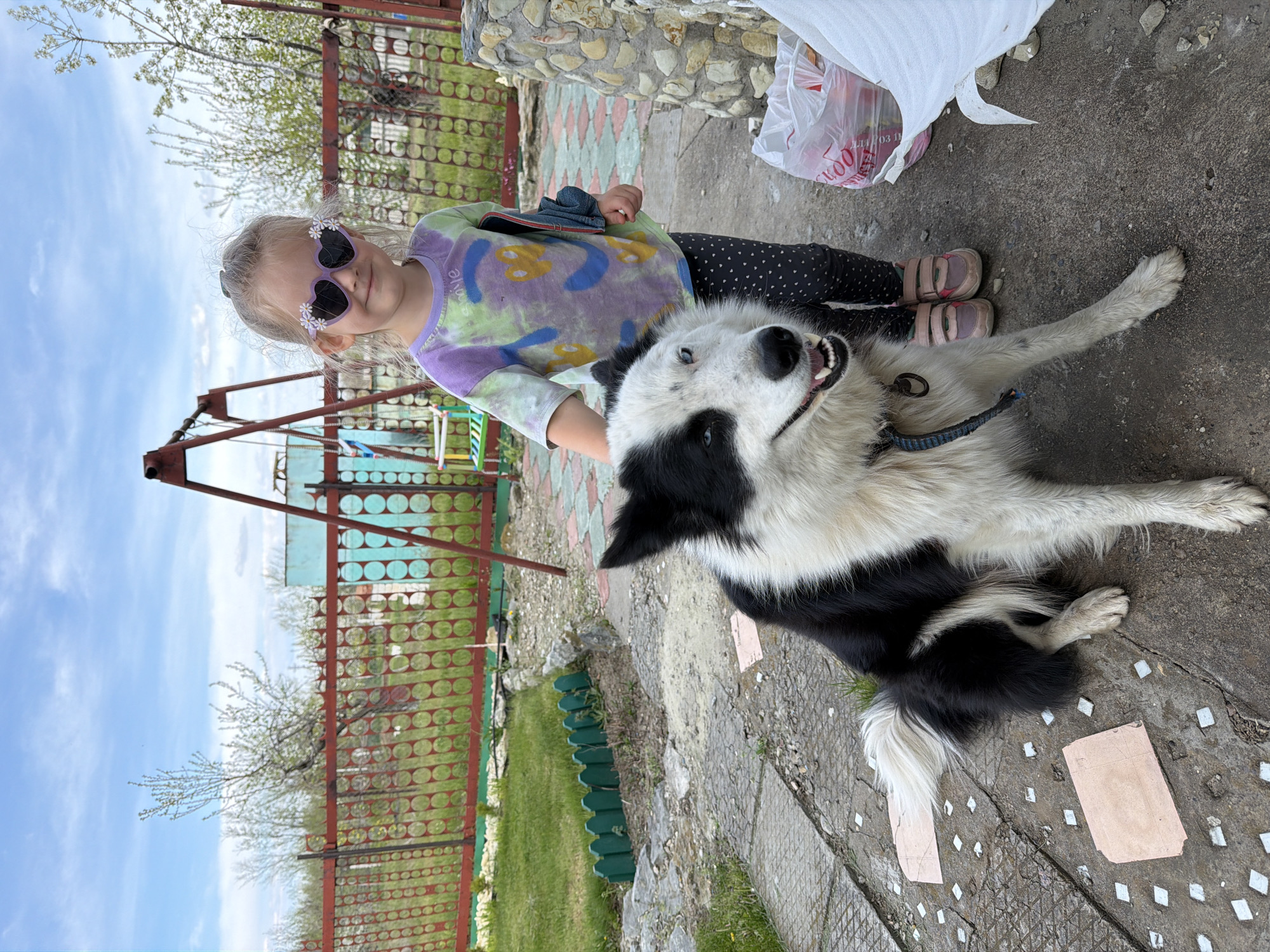 A child wearing heart-shaped sunglasses stands beside a black and white dog on a concrete surface. The child wears a tie-dye shirt and polka dot leggings. The dog is lying down with its front legs outstretched. A red metal fence with green circular inserts is behind the child. A swing set is visible in the background. A white plastic bag sits beside the child and dog. The image appears to be taken outdoors in a yard or garden. The location is Kamyshin, Russia.