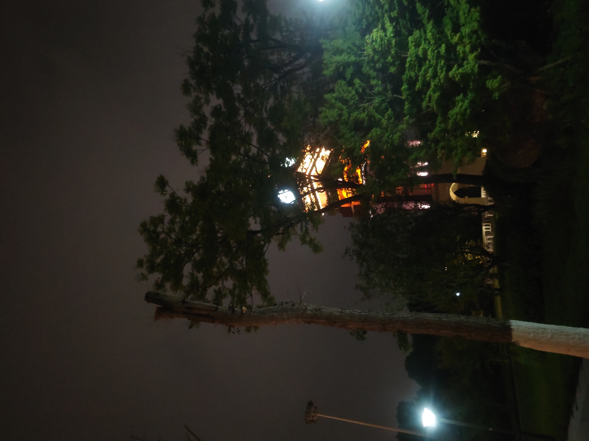 The image, taken at night in Chongqing High-tech Zone, China, depicts a partially illuminated urban environment. A large tree, with a thick, horizontally oriented branch prominently in the foreground, dominates the composition. The branch is partially painted white at its far end. In the background, trees are silhouetted against a dark sky. Architectural structures, including a building with illuminated windows and arches, are visible through the trees. Streetlights provide artificial illumination, and a glow from unseen light sources casts shadows and highlights on the scene. The overall impression is one of an urban park or green space at night.