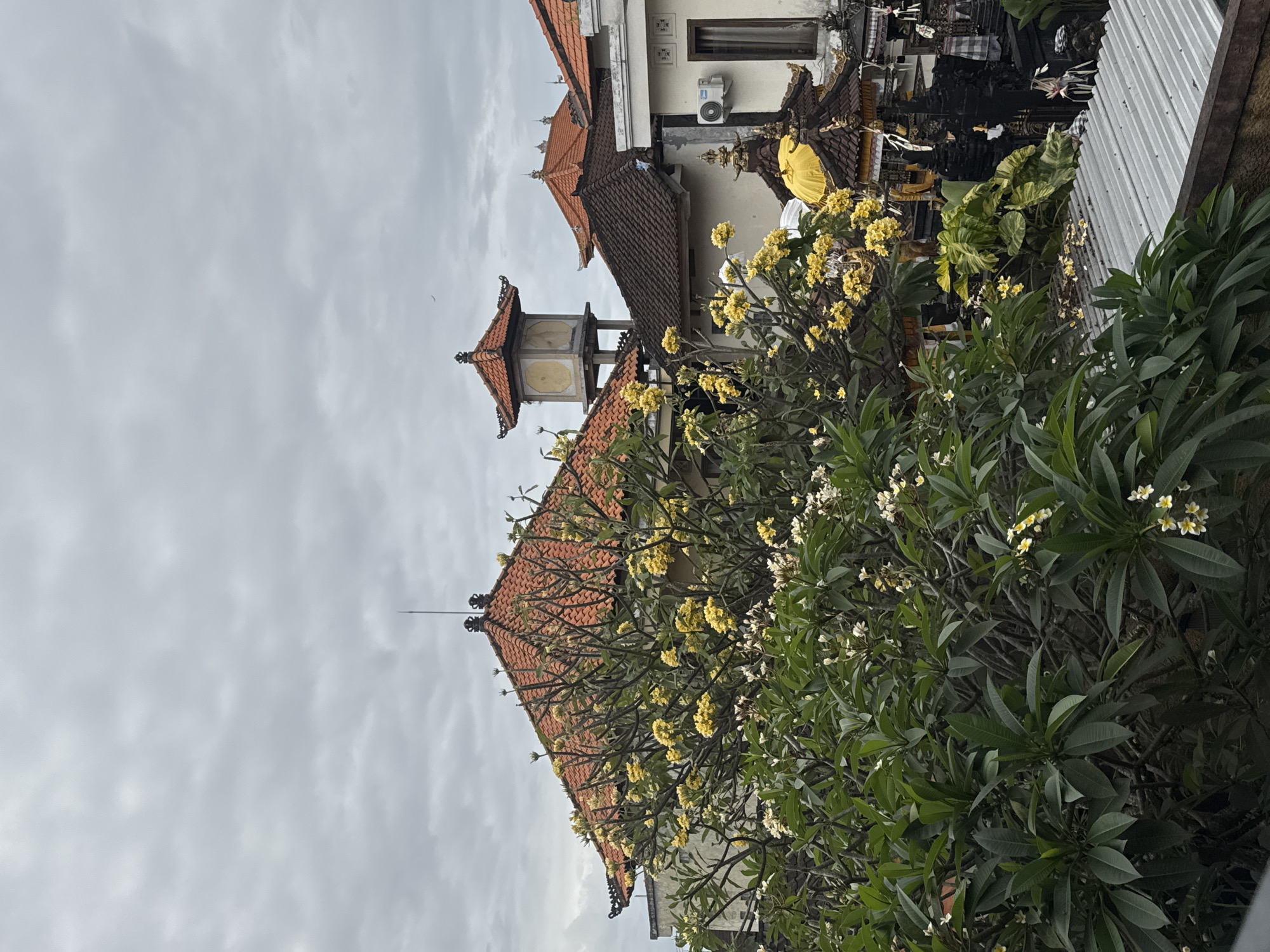 The image depicts a view of rooftops and a lush tree laden with yellow and white flowers in Kuta, Indonesia. The architecture features traditional Balinese elements with terracotta tiled roofs and decorative spires. A water tower with a red roof stands prominently in the background, alongside other buildings with similar roofing styles. Dark, intricate stone carvings are visible in the foreground, suggesting a temple or ornate structure. The sky is overcast with a thick layer of gray clouds, casting a diffused light over the scene. The foliage of the flowering tree is dense and green, with some fallen petals scattered on the grey corrugated metal roof in the lower right portion of the frame. No people are visible in the image.