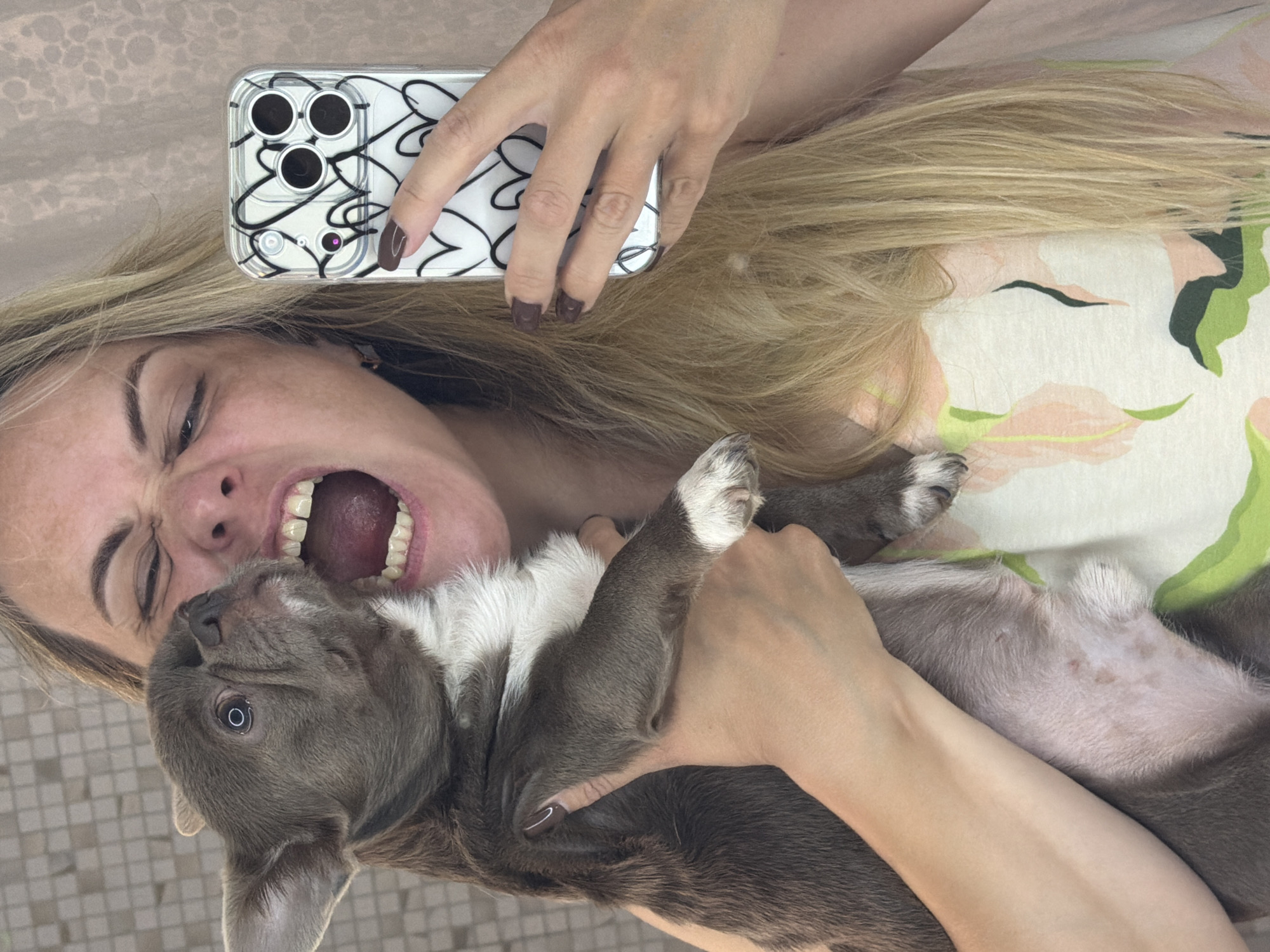 In Votkinsk, Russia, a woman with blonde hair, wearing a floral print top, is taking a selfie in what appears to be a bathroom. She is holding a small, grey French bulldog puppy which is playfully biting her face. The woman's mouth is wide open in a grimace, and her eyes are squeezed shut. She is also holding a smartphone in her right hand, which has a clear case with black heart designs. The background consists of a tiled wall and a textured pink wall.