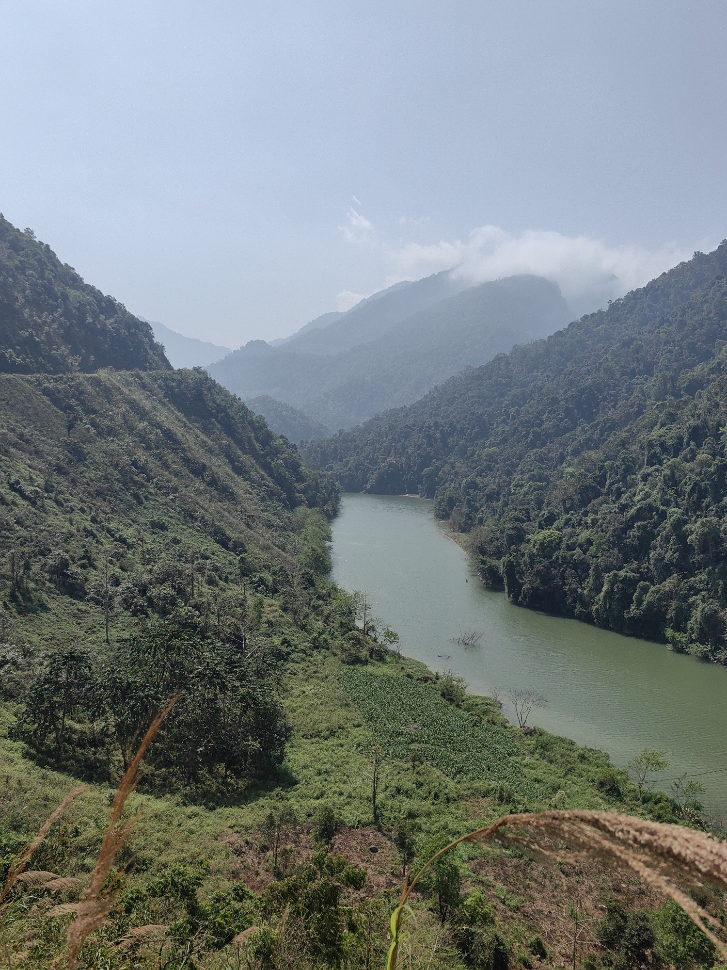 The image presents a wide, high-angle view of a river valley landscape in Lùng Tám Commune, Vietnam. The river, a light green color, winds through the valley floor, bordered by lush green vegetation. The steep valley sides are covered in dense trees and vegetation. Higher up, distant mountain ranges recede into a hazy, pale blue sky with some cloud cover. In the foreground, there are tall grasses and shrubs partially obscuring the view.