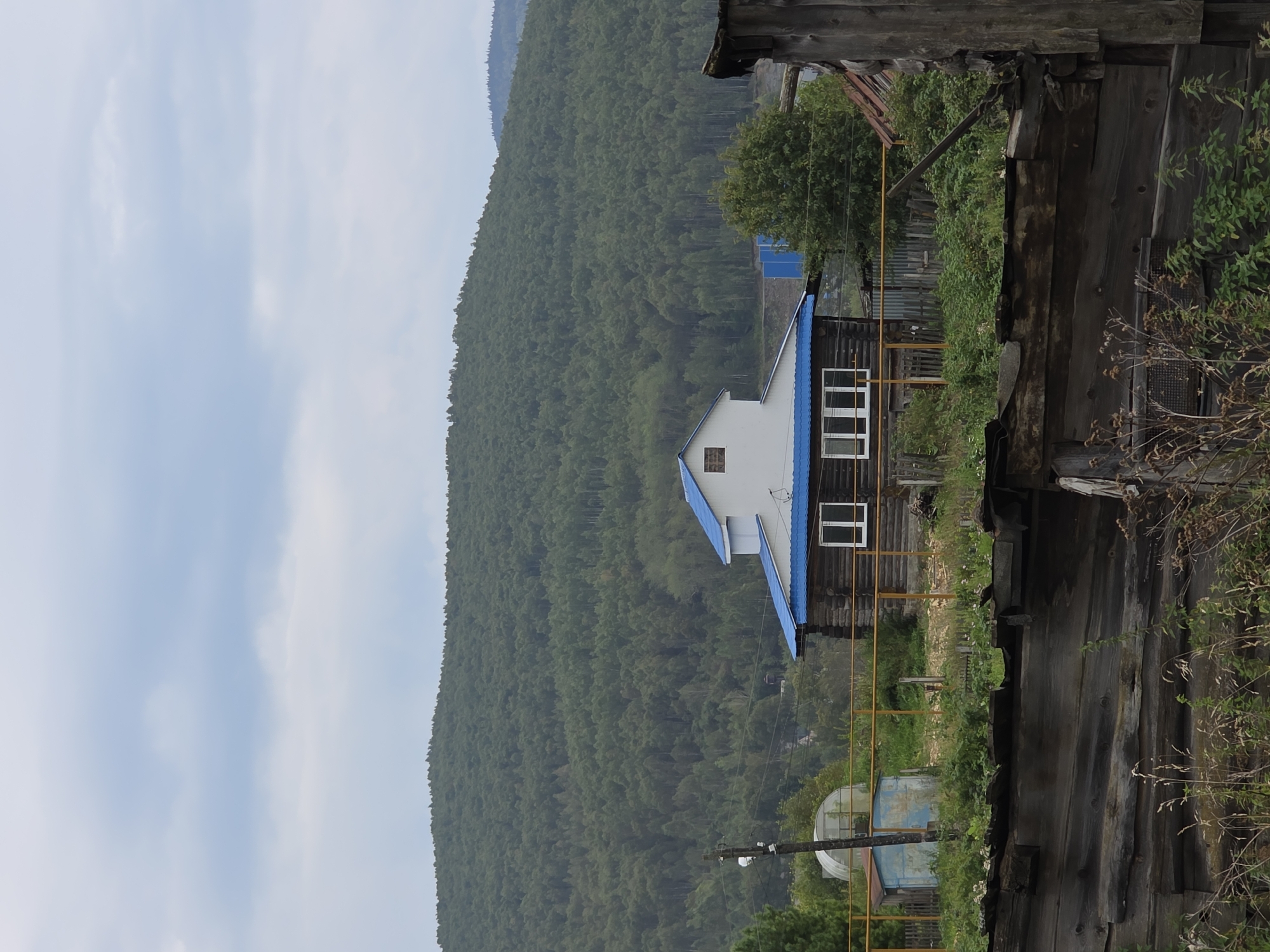 In Magnitka, Russia, a weathered wooden house with a bright blue roof sits amidst overgrown vegetation. The house, constructed from logs, has several white-framed windows. A yellow metal fence encloses a portion of the yard. In the background, a dense, green forest covers a rolling hill under a cloudy sky. In the foreground, the tops of dilapidated wooden structures are visible, their weathered planks and rusted metal roofing adding to the rustic and somewhat neglected atmosphere of the scene. A greenhouse structure is also visible to the left of the house.