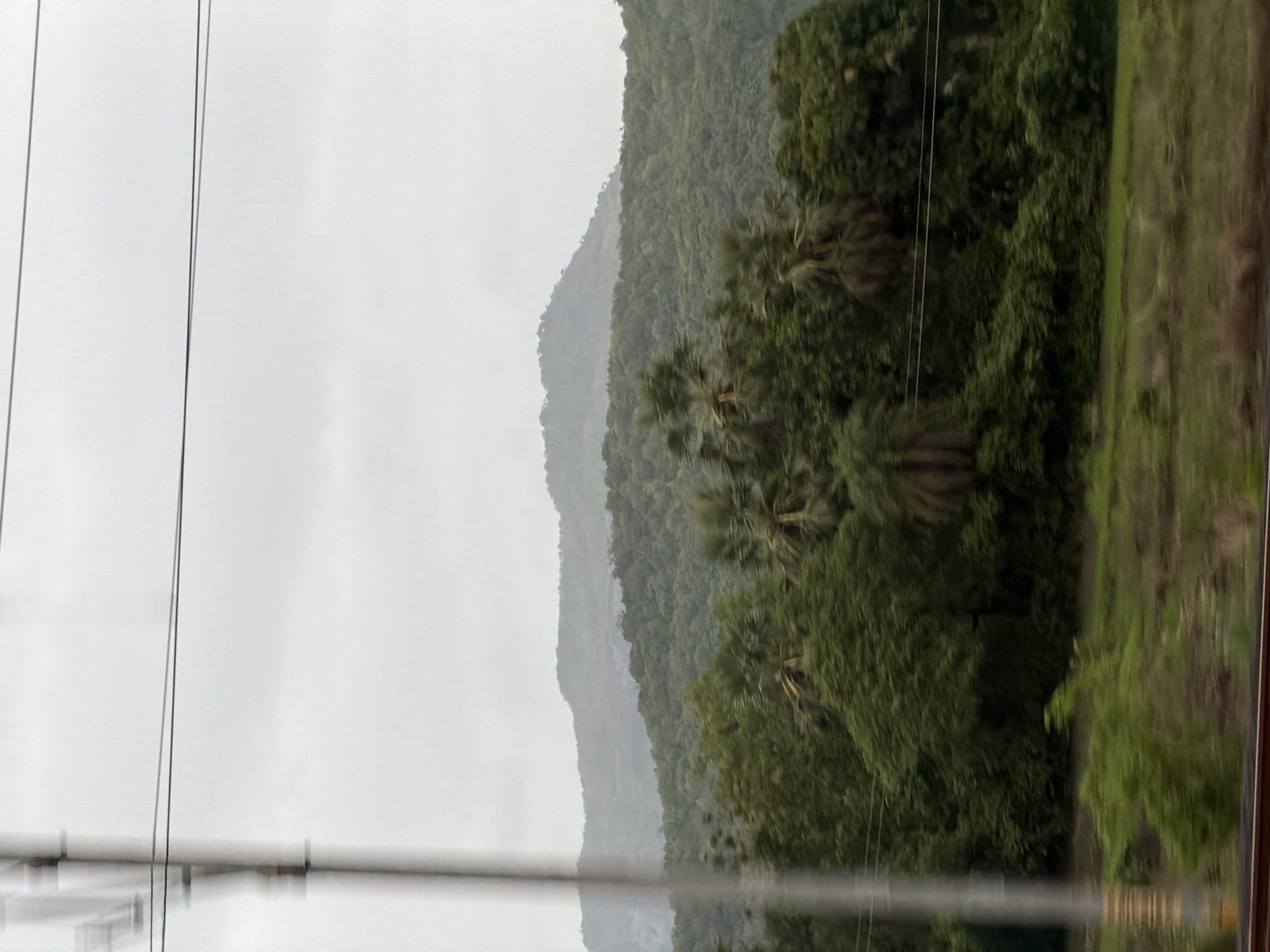 The image depicts a cloudy day with a hilly, forested landscape in Saphale, India. In the foreground, a blurred utility pole with wires runs vertically along the left side of the frame. A strip of land, appearing to be a field or grassy area, is visible at the bottom. Beyond this, dense green foliage of trees and palm-like plants dominates the mid-ground. Further in the distance, rolling hills covered in lush green vegetation recede towards the horizon, with a lighter, hazy mountain range in the far background. The overall atmosphere is muted and overcast due to the cloudy sky.