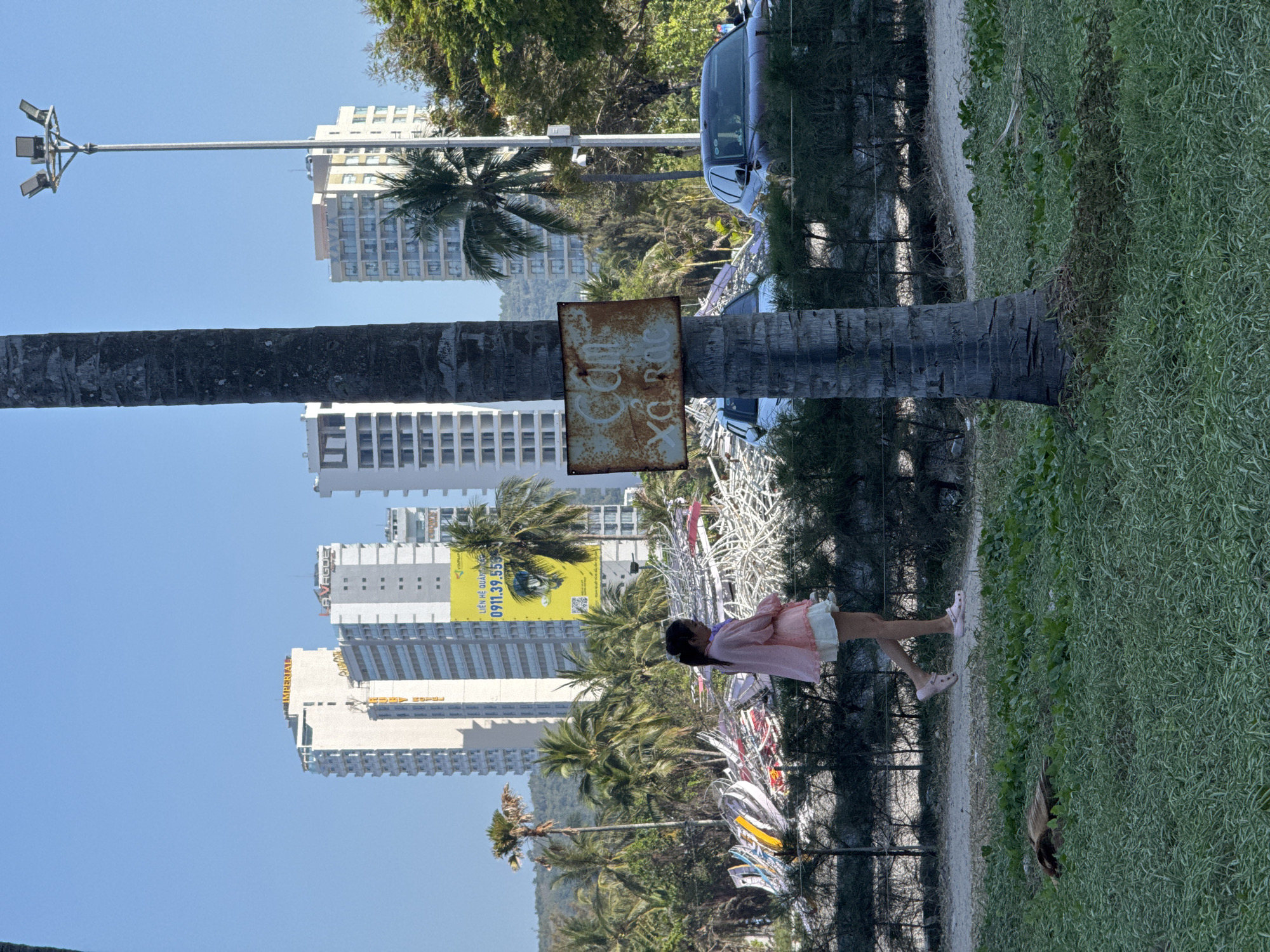 The image depicts a daytime scene in Nha Trang, Vietnam, specifically an area near the beachfront characterized by urban development and green spaces. In the foreground, a large, dark-barked palm tree trunk stands prominently, with a rusted metal sign attached that reads "Cấm xả rác" (No littering) in white Vietnamese text. To the left of the tree, on a patch of bright green grass, a dark brown animal, possibly a dog, is visible sleeping. A dirt path runs horizontally behind the grass, leading towards low green shrubs that appear to form a boundary or fence line.
A young female subject is walking from left to right along this path, positioned slightly to the right of the central palm tree. She wears a light pink long-sleeved top over a white skirt or shorts and pink footwear.
In the midground, beyond the shrubs, lies a significant accumulation of white and multi-colored skeletal structures or debris, possibly remnants of a temporary installation or damaged structures, interspersed with palm trees. Two cars are partially visible behind this debris: a dark sedan on the right and a white sedan to its left.
The background is dominated by several high-rise buildings under a clear blue sky. Notable structures include a tall white building with "IMPERIAL" at its peak, another building displaying "RUBY HOTEL" vertically, and a third building with "LAVAGUE" visible. A large yellow billboard featuring Vietnamese text and a phone number (0911.39.55) is situated among the buildings and palm trees. A tall metal light pole with multiple floodlights extends into the sky on the right side of the image. Lush green hills or mountains are visible in the distant background on the far left. The scene is brightly lit by natural sunlight, indicating a clear day.