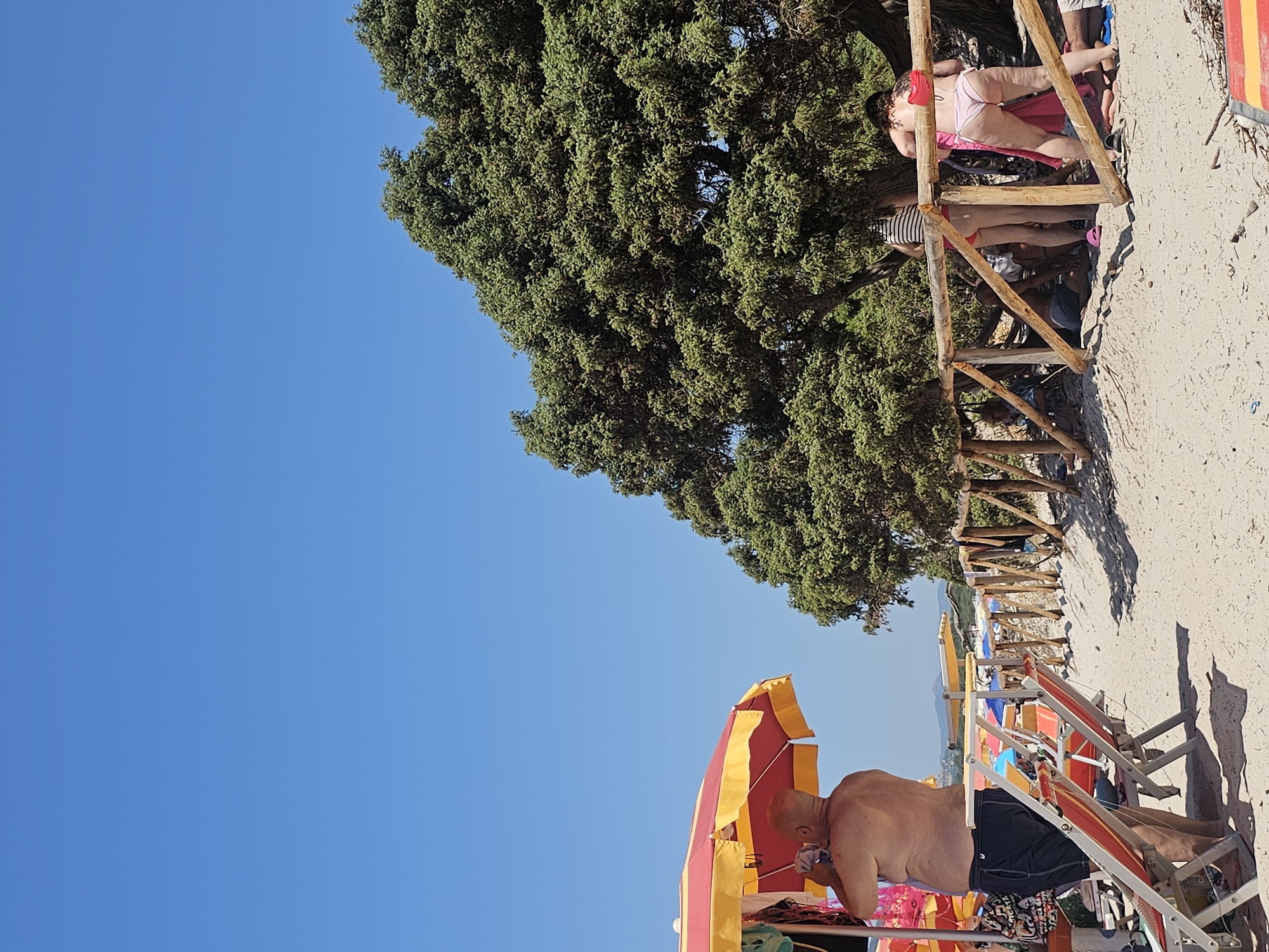 The image depicts a sunny day at a beach with a clear blue sky. In the foreground, a man with a bald head is standing under a red and yellow striped umbrella, wearing black swim trunks. Several beach chairs are arranged on the sand in front of him. To the right, a large, green tree with dense foliage provides shade. Behind the tree, a rustic wooden fence encloses an area where several people are gathered. A woman in a pink bikini is visible, as are others partially obscured by the foliage and fence. The ground is sandy, and the overall atmosphere suggests a leisurely day at the seaside. The location is described as Unknown, Unknown.
