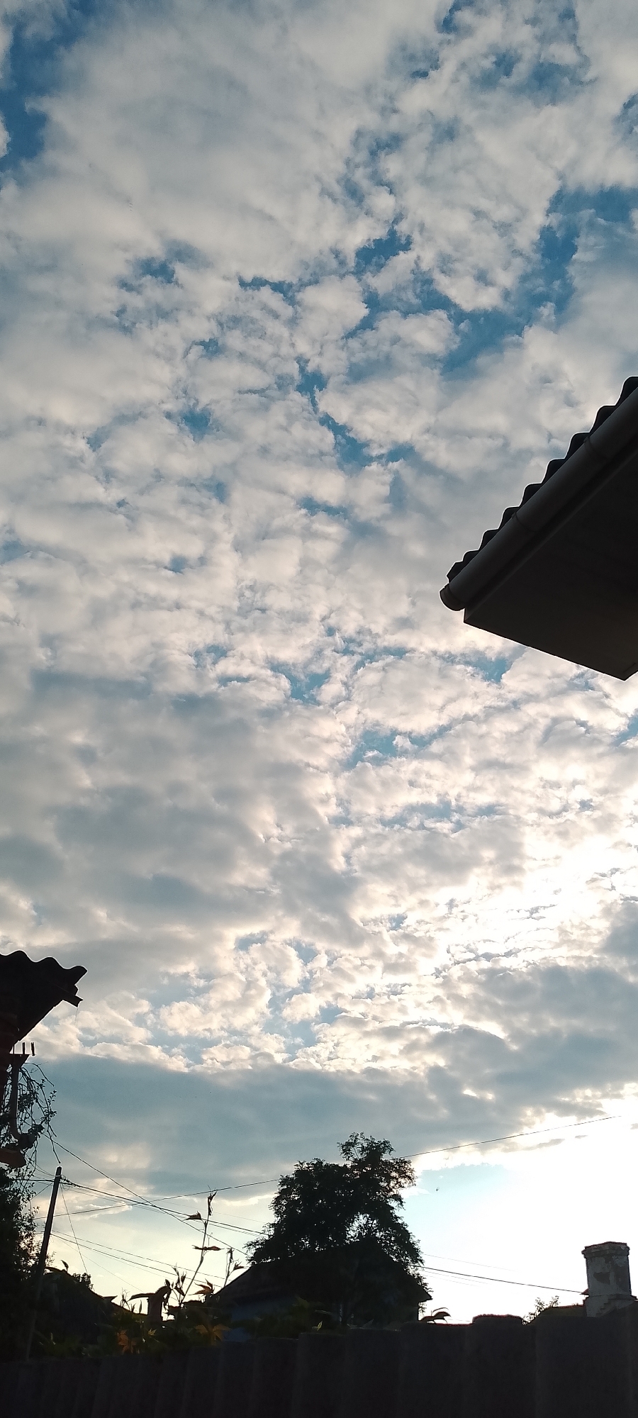 The image depicts a sky filled with scattered white clouds against a pale blue backdrop. The sun appears to be setting or rising, casting a soft light that illuminates the clouds. In the foreground, the silhouettes of rooftops and trees are visible, suggesting an outdoor urban or suburban environment. The scene is captured from a low angle, looking upwards towards the sky. The overall impression is one of a peaceful, possibly twilight, atmosphere.