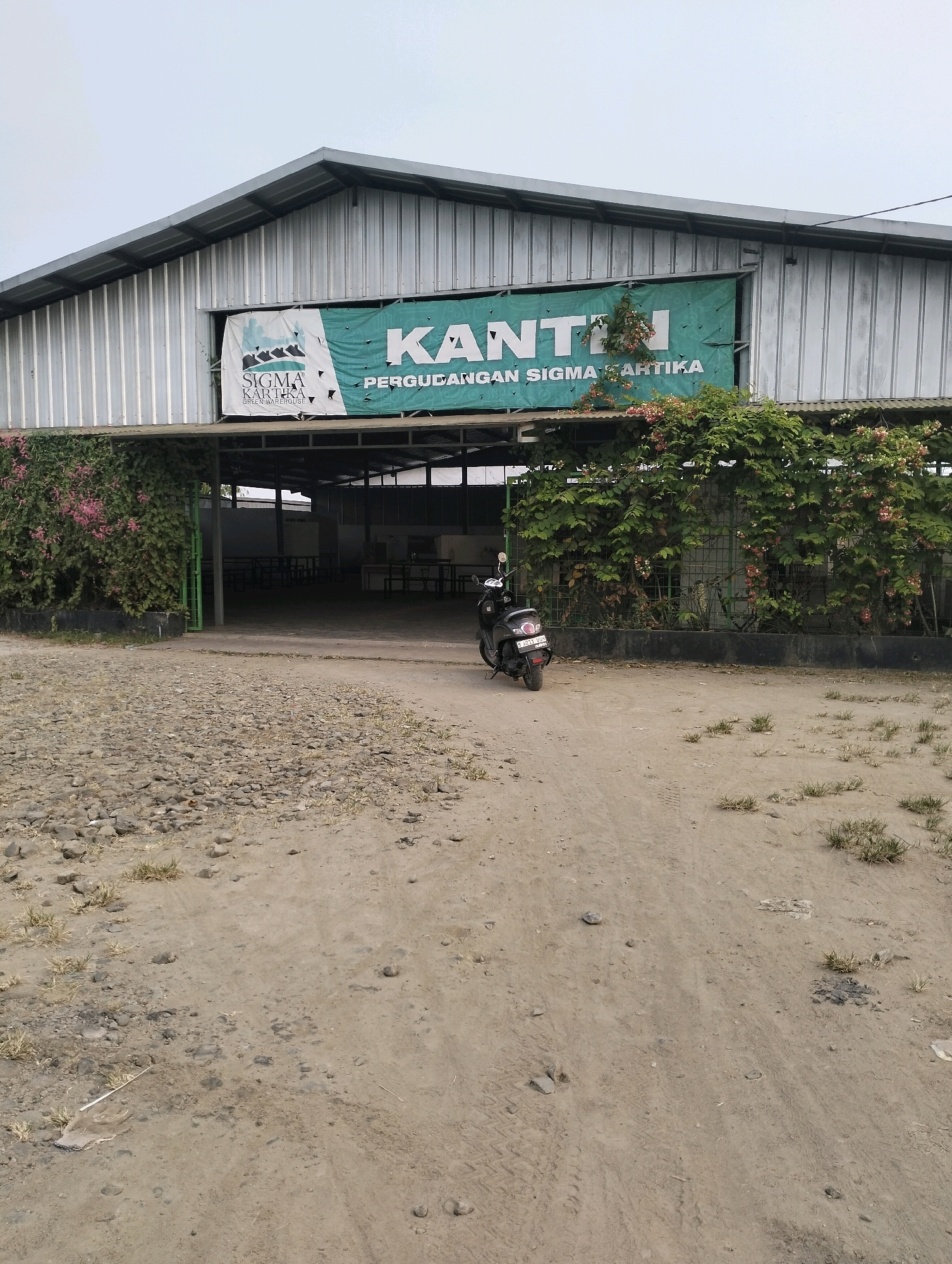 The image shows the exterior of a warehouse in Gunung Sindur, Indonesia. The warehouse has a corrugated metal roof and walls, with an open entrance revealing tables and chairs inside. A large banner hangs above the entrance, featuring the text "KANTIN PERGUDANGAN SIGMA KARTIKA" and a logo for "SIGMA KARTIKA GREEN WAREHOUSE". The entrance is partially covered by lush green vines with pink flowers. To the left of the entrance, there is a dark gray concrete wall covered in dense green vines with pink flowers. A black scooter is parked on the dirt ground to the left of the entrance, facing away from the camera. The ground is a mixture of dirt and small stones. The sky is overcast.
