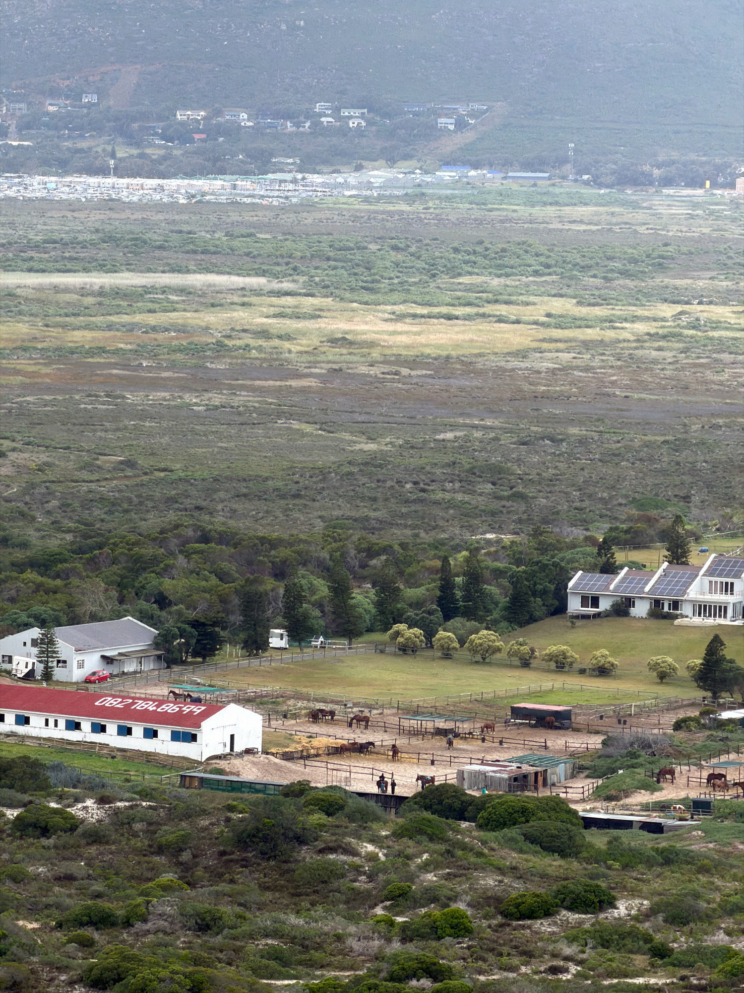 This image captures a horse farm in Noordhoek, South Africa, with the backdrop of the Noordhoek Valley and the Atlantic Ocean. The foreground features a sandy, scrub-covered hillside. Below this, a red-roofed barn with white walls is visible, bearing a phone number: 0827848644. Adjacent to the barn is a large white building with multiple windows. Several horses are present in fenced paddocks surrounding the structures, some grazing and others standing. Beyond the farm, the landscape transitions to dense green vegetation and then to a wide, flat expanse of grassland or marshland. In the distance, a more urbanized area with numerous buildings and houses is spread across the valley floor, leading up to a hilly, mountainous terrain under a hazy sky.