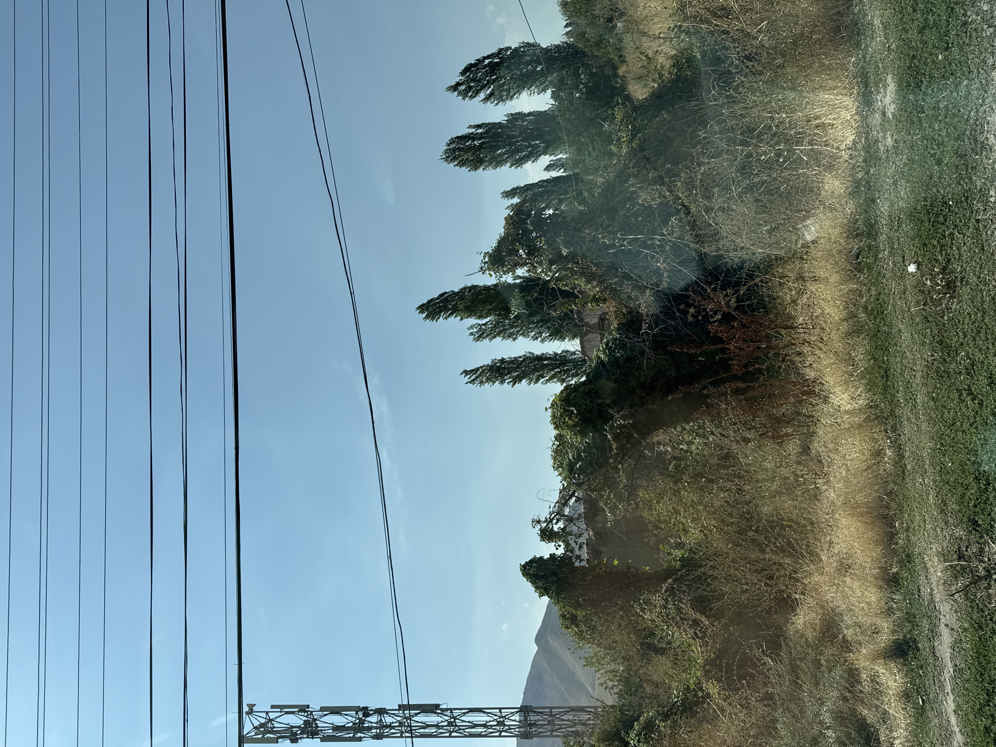 In Koi-Tash, Kyrgyzstan, a cell tower stands tall against a clear blue sky, a stark contrast to the unruly vegetation in the foreground. The tower, a lattice structure of metal, is positioned to the left of the frame, its antennas arrayed upwards. Below the tower, a dense tangle of green vines and dry grasses covers a hill. The vegetation is overgrown, with some trees characterized by tall, slender trunks and leafy canopies. The ground in the lower part of the image is covered in short, green grass, with patches of dry soil. In the distance, faint outlines of mountains are visible under the bright sky. Power lines crisscross the upper portion of the image, adding a linear element to the natural and man-made landscape. The overall scene is one of rural utility and wild growth.