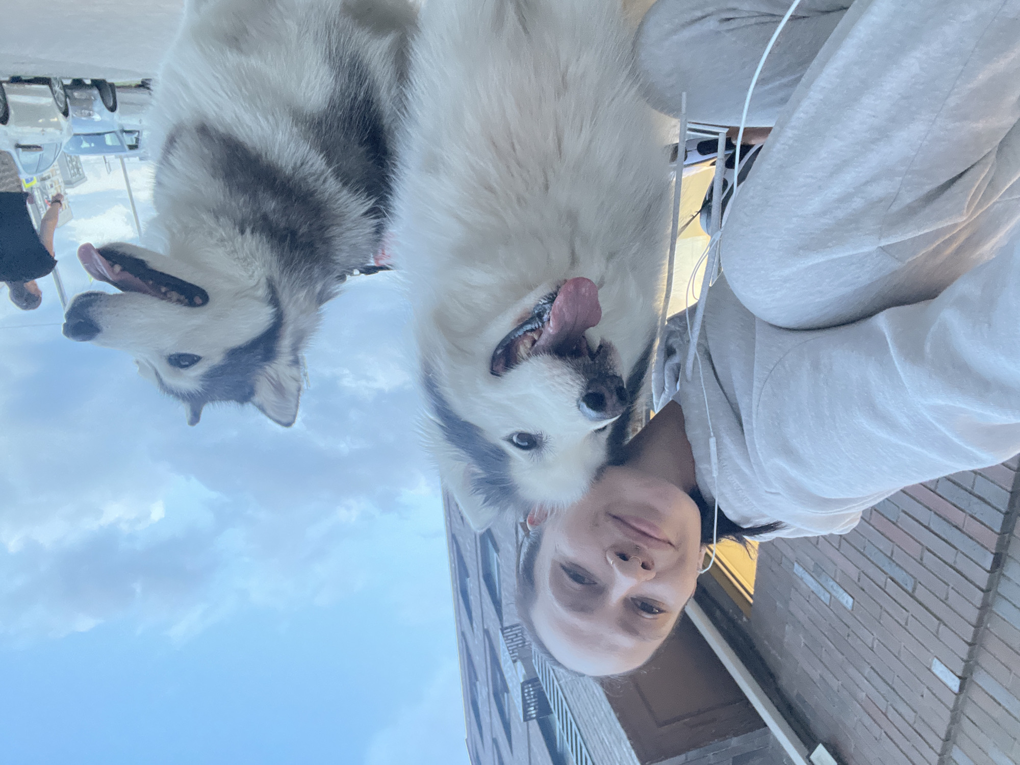 A selfie, taken upside down, features a light-skinned person wearing a gray hooded sweatshirt, with earbud wires visible, facing the camera. Behind the person are two dogs; one is a husky, and the other is a larger, white dog. Both dogs have their tongues visible. The background shows a building made of brick, a blue sky, and some cars on the street. The location is in an urban area in Pervomaysky, Russia.
