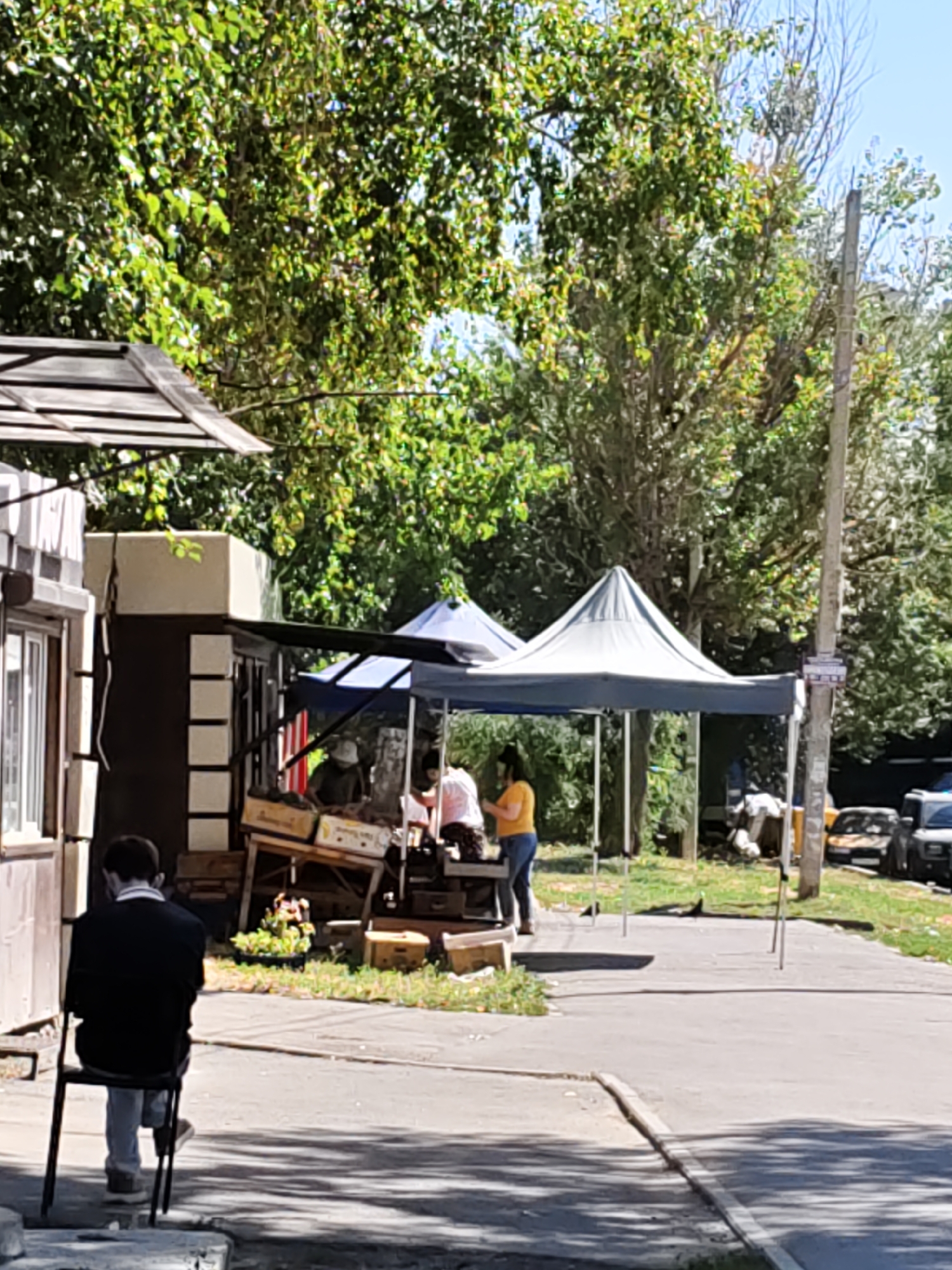 In Rostov-on-Don, Russia, on a sunny day, a man wearing a black jacket and light-colored pants sits on a metal chair facing away from the camera, towards a small market stall. The stall features two white tents, one larger and one smaller, under which several people are visible. One person, wearing a white hat and a light-colored shirt, appears to be working at the stall. Another person, wearing a yellow t-shirt and blue jeans, is also at the stall. Wooden crates are stacked around the stall, some containing what appear to be produce. A planter with flowers is situated near the stall. In the background, trees with lush green foliage line the area, and a utility pole stands to the right. Several cars are parked along the side of the road behind the market. The scene appears to be an outdoor market or roadside vendor setup.