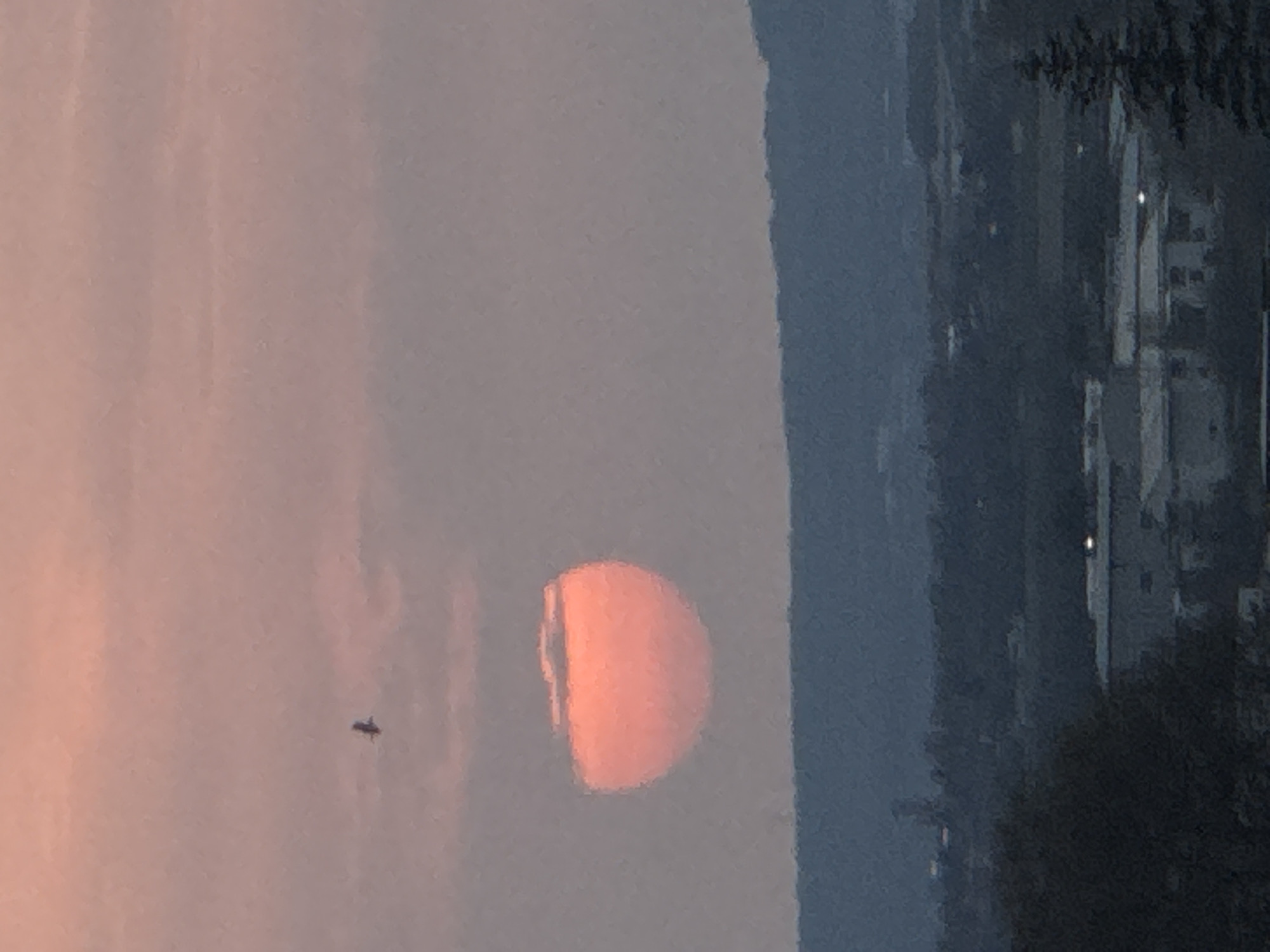 The image depicts a sunset over Varna, Bulgaria. The sun appears as a bright orange semicircle low in the sky. A small, dark bird is visible silhouetted against the pink sky. In the distance, buildings are visible, with dark trees obscuring some structures. The environment suggests an urban setting on the outskirts of the city, near a forested area.