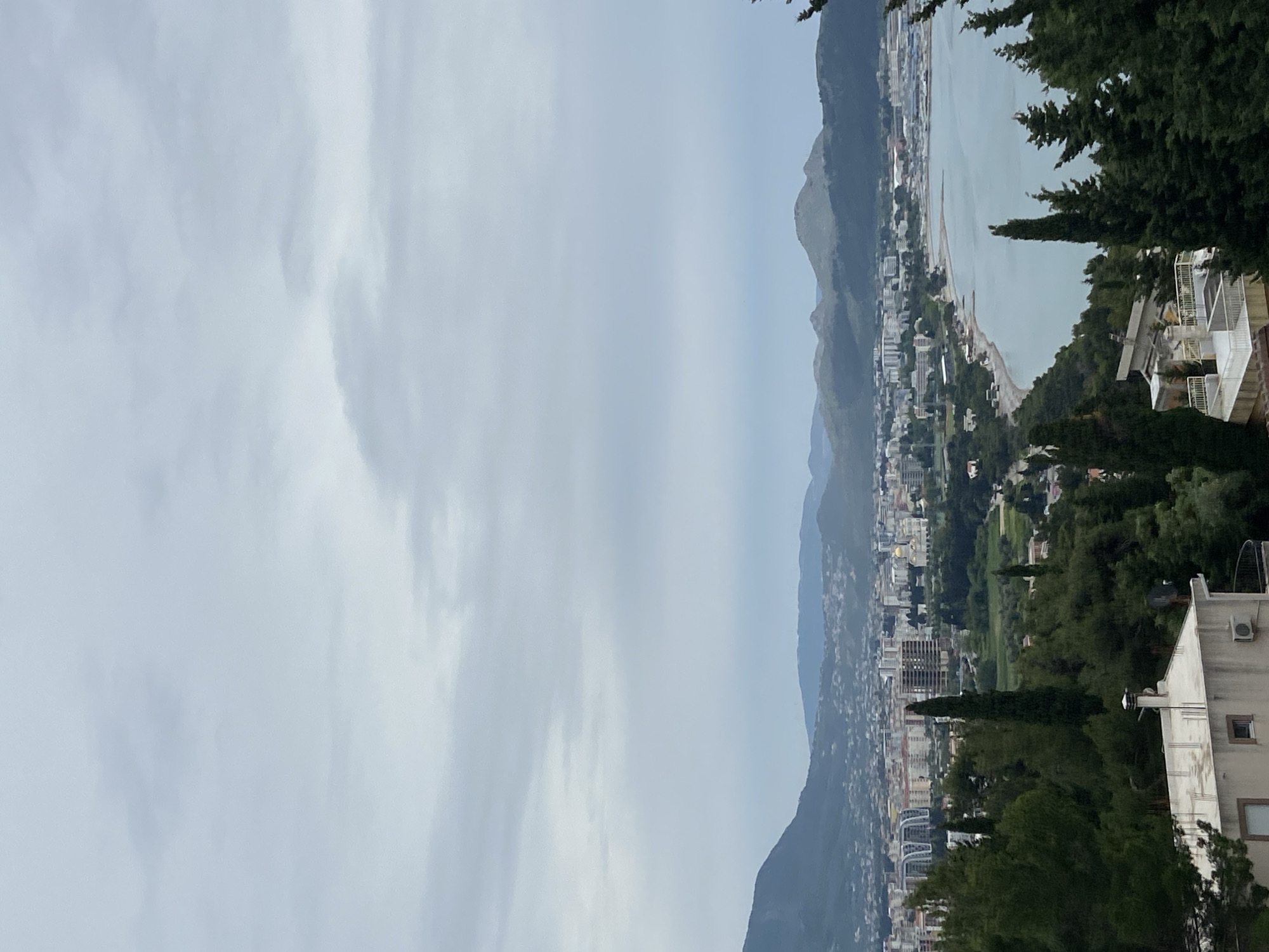 The image depicts a cityscape in Šušanj, Montenegro. The scene is dominated by a coastline stretching along a bay, with mountains rising in the background. Dense vegetation, including tall, thin trees, frames the right side of the view, partially obscuring buildings. The city sprawls along the coastline, showcasing a mix of low-rise and high-rise structures. The sky is overcast with a uniform cloud cover.