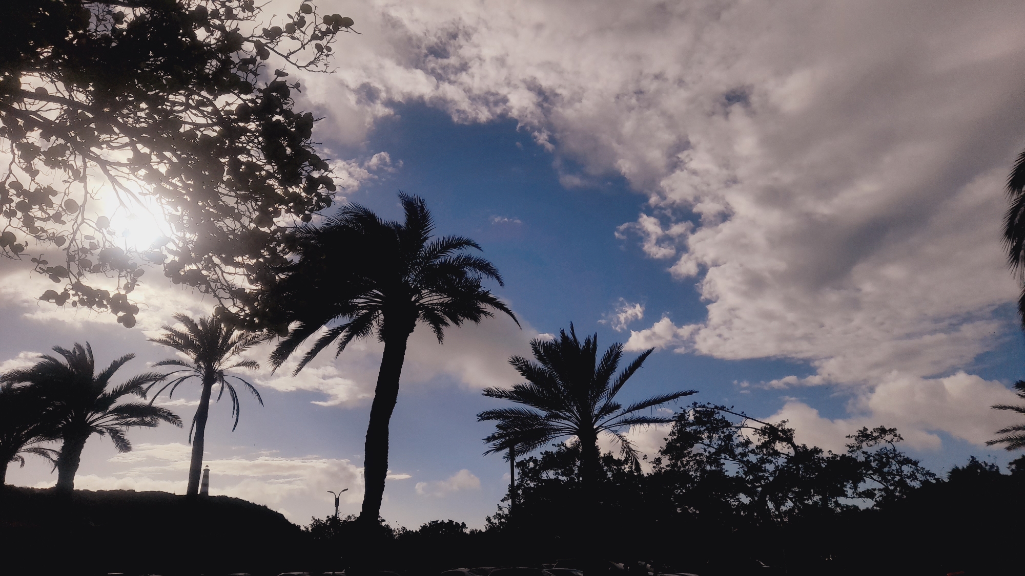 The image depicts a silhouetted landscape with palm trees against a partly cloudy sky. The sun is visible and casting light through the branches of a tree in the upper left of the frame. In the distance, on a slight incline, a lighthouse with black and white stripes is visible. The foreground is composed of dark silhouettes of trees and what appear to be parked vehicles. The overall impression is of a coastal or tropical environment, potentially in Pedro González, Venezuela, given the presence of palm trees. No people are clearly visible in the image.