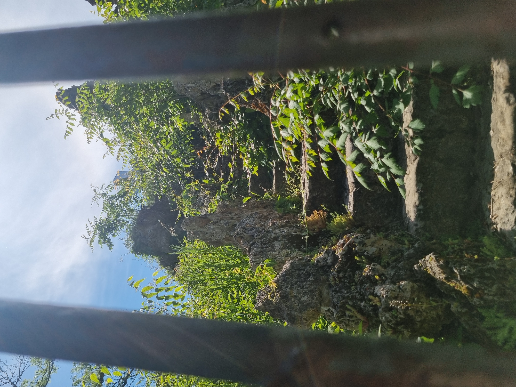 The image shows a view through a metal railing of what appears to be a rocky cliff face with steps cut into it, heavily overgrown with greenery. The sky is visible in the background, suggesting an outdoor location. This is in the city of Pleven, Bulgaria. The steps are made of stone. There are no visible people.