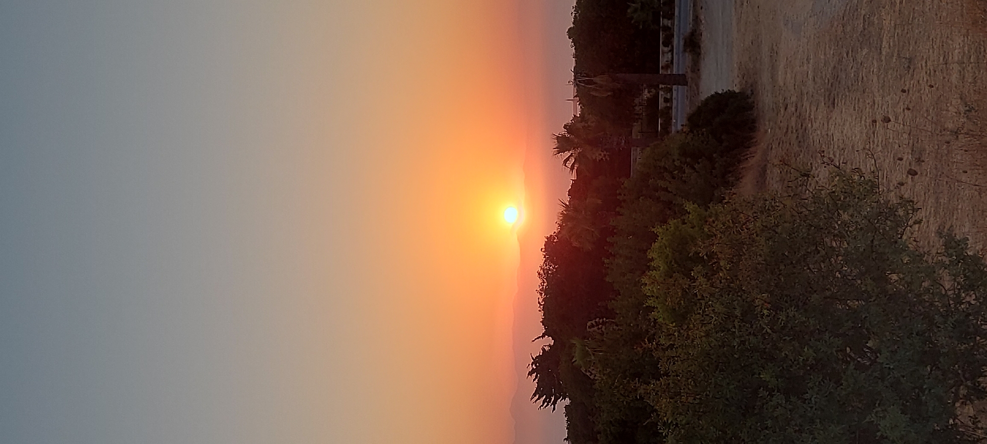 This is a vertical, medium-distance, full-shot photograph of a sunset over a landscape in the Municipal Unit of Rhodes, Greece. The sun, a bright, glowing orb, is positioned slightly left of center, near the horizon, casting a warm orange and yellow light across the sky. The sky transitions from a pale blue at the top to a vibrant orange and yellow gradient towards the horizon.
In the mid-ground, a dense layer of dark green trees and foliage forms a thick barrier. Among the trees, several palm trees are visible, their fronds silhouetted against the sunset. The landscape extends to the background, where faint, hazy mountains can be seen on the horizon, partially obscured by the sunset's glow.
The foreground consists of dry, light brown earth with sparse vegetation, including some dry grasses and a few thorny plants. A narrow, paved road or path runs horizontally across the mid-right portion of the image, with a single, dark, slender pole visible on its edge. The overall scene depicts a tranquil, natural setting bathed in the warm light of a setting sun.