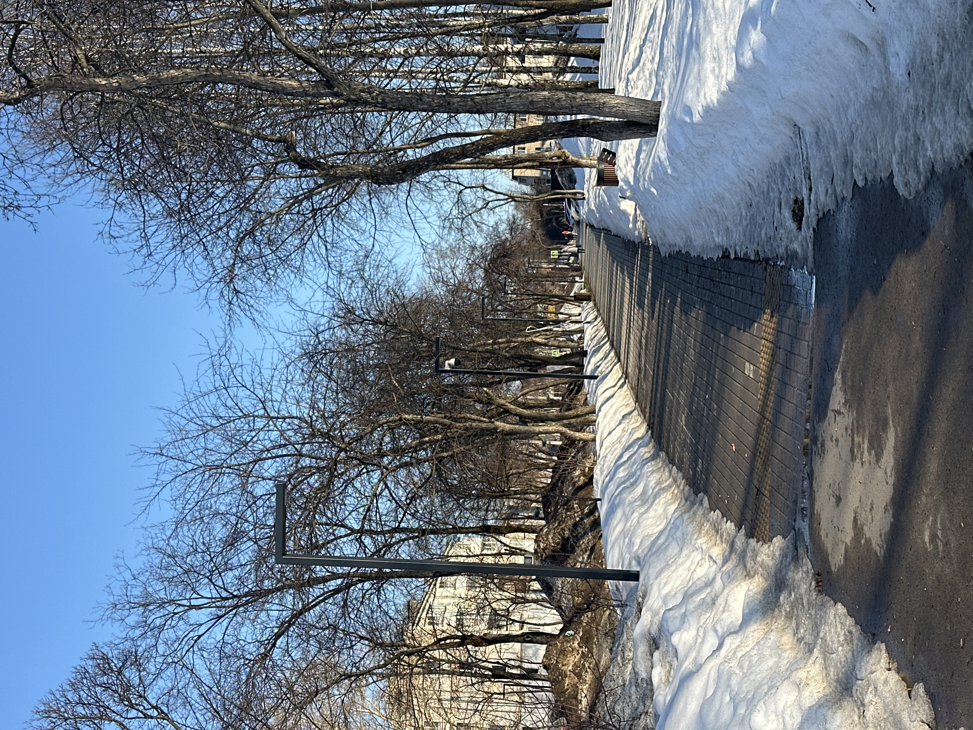 The image depicts a street scene in the city of Chaikovsky, Russia, characterized by remnants of winter. A paved walkway, partially lined with snow, runs parallel to a row of bare trees. Additional snow banks are visible beside the walkway. Lighting fixtures stand among the trees. Buildings appear in the background.