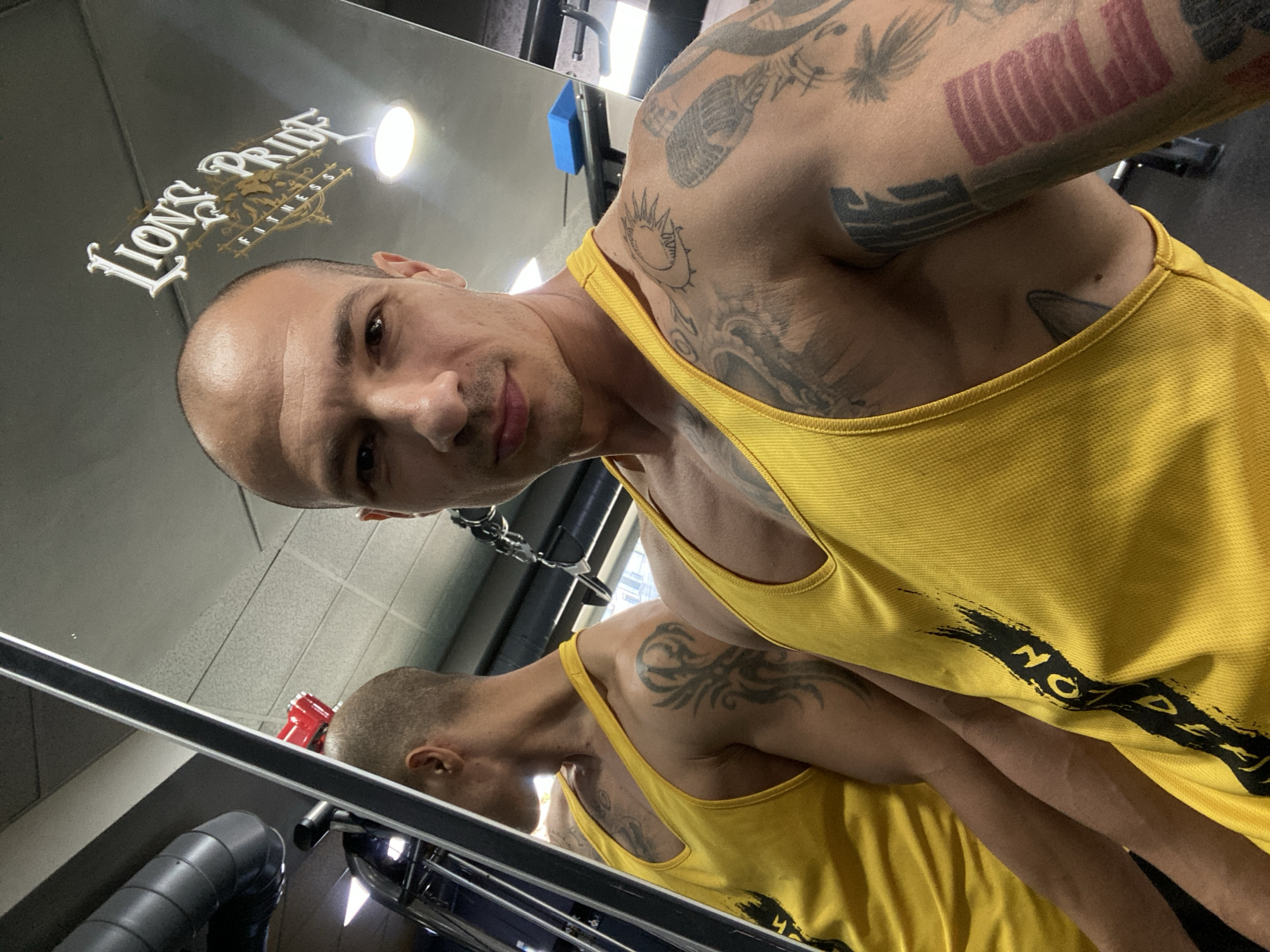 A bald, fair-skinned man with tattoos on his arms and chest takes a selfie in a gym. He is wearing a yellow tank top with black lettering. The background shows gym equipment and a mirror reflecting another angle of the man. The gym appears to be "Lion's Pride Fitness" based on the signage visible in the mirror.