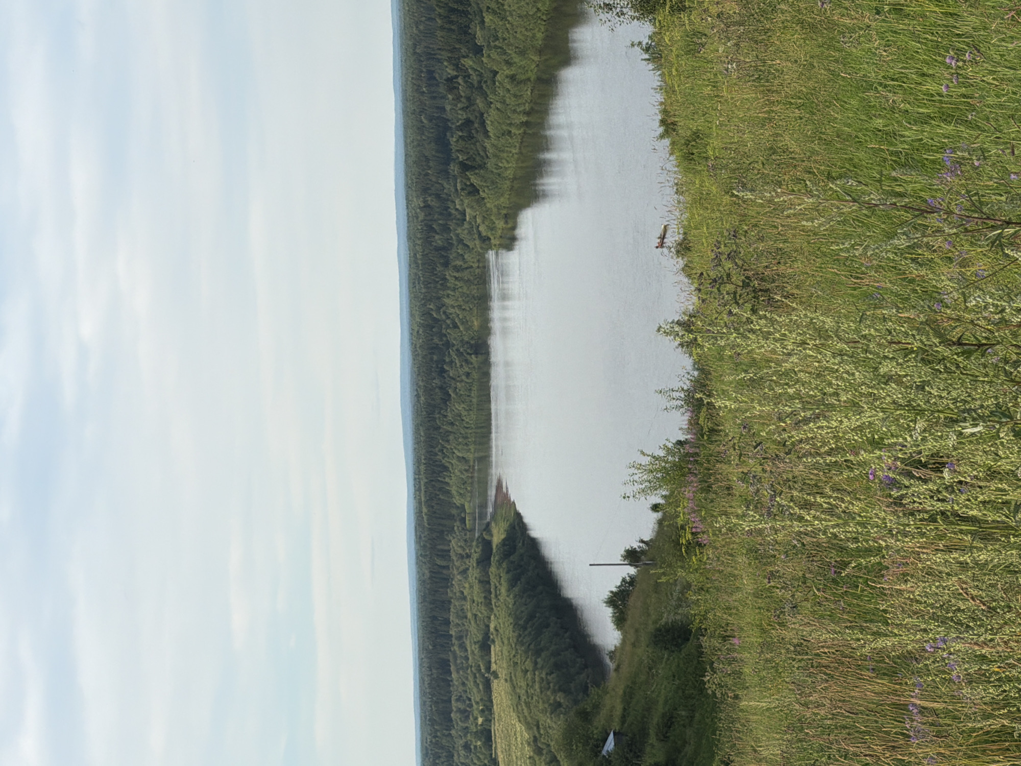 The image depicts a wide river flowing through a densely forested area. The river is calm with gentle ripples reflecting the sky. On the right bank, tall green grass and wild flowers create a vibrant meadow, with some purple flowers visible. A small, light-colored object, possibly a kayak or canoe, floats on the water near the right bank. A single wooden pole, likely a utility pole, stands on the grassy bank. The forest on the left bank is a deep green, extending as far as the eye can see, with a hazy blue horizon suggesting a vast expanse. The sky is mostly overcast with soft, white clouds. The lighting suggests it is daytime, likely late afternoon or early morning given the soft light. The scene conveys a sense of tranquility and natural beauty. No text is visible in the image. The location context of Cherdyn, Russia, suggests a potentially remote and wild natural setting.