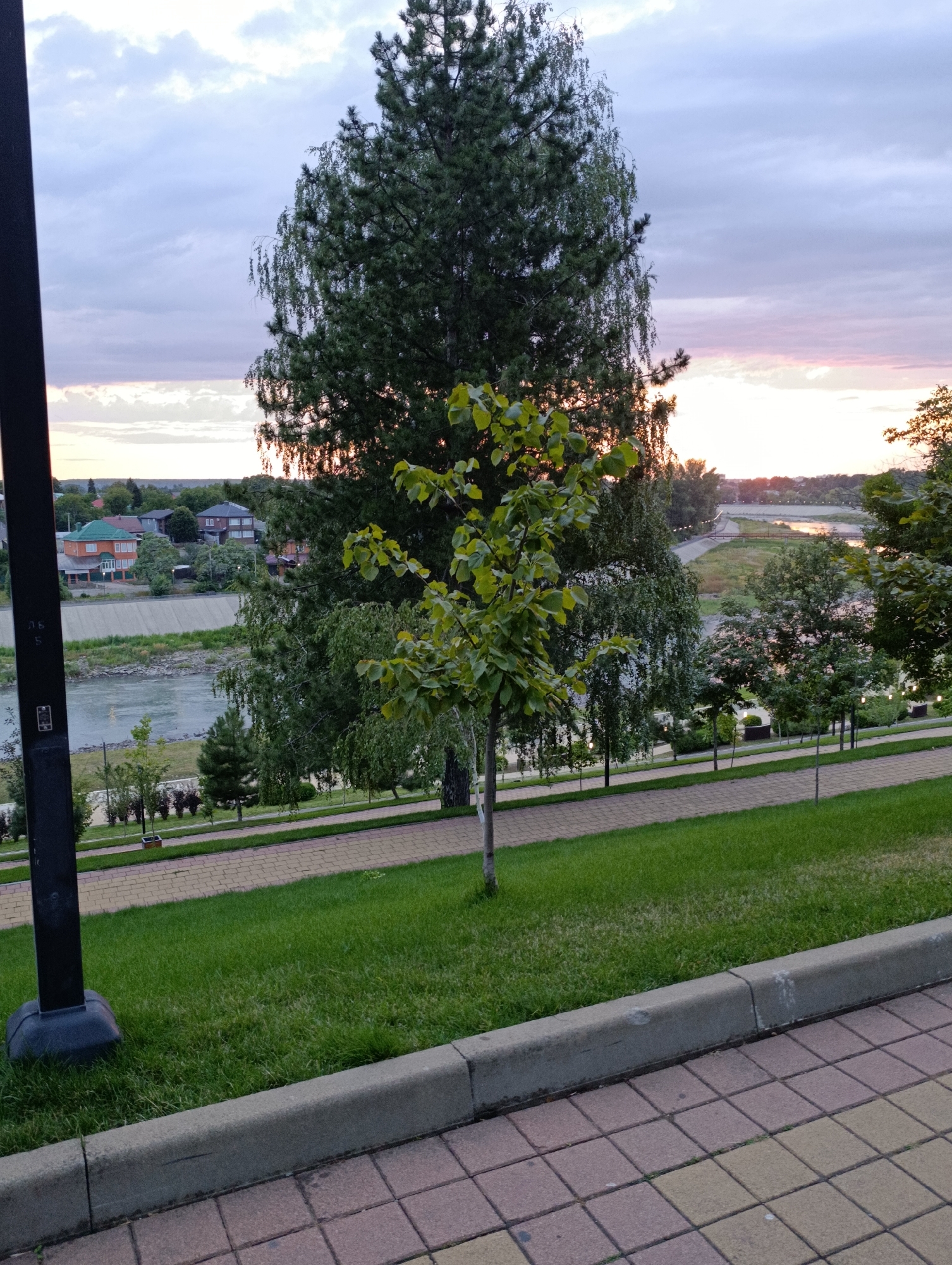 This image captures a peaceful park scene in the city of Kelermesskaya, Russia, during what appears to be early evening. A tall, slender evergreen tree dominates the center of the frame, its dark green needles providing a stark contrast to the lighter green of a smaller, leafy tree in front of it. To the left, a black lamppost stands sentinel, its base partially obscured by a dark square fixture.
The park features a gently sloping lawn covered in lush green grass, bordered by a concrete curb and a pathway paved with light brown and reddish-pink square tiles. In the middle ground, a winding pathway curves through manicured greenery, lined with small trees and decorative lighting.
Beyond the park, a calm river flows, its surface reflecting the soft, cloudy sky. On the opposite bank of the river, a residential area is visible, with houses featuring colorful roofs, including a prominent orange and green one. The background reveals more greenery and trees, hinting at the natural beauty surrounding the city. The sky itself is a canvas of muted blues, grays, and soft pinks, suggesting the sun is setting, casting a warm glow over the landscape. No people are visible in the image.