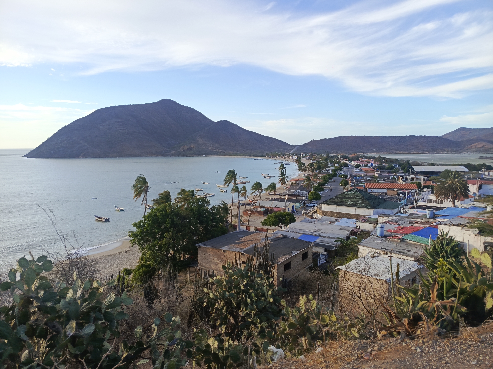 The image shows an elevated view of Juan Griego, Venezuela. In the foreground, cacti and scrub vegetation cover a hillside. Below, a cluster of low-rise buildings with varied rooftops, some with blue or red paint, constitutes a portion of the town. A road lined with palm trees runs along the beach. In the bay, several small boats are visible. Beyond the bay, a large, dark mountain rises prominently. In the distance, another range of hills flanks a lagoon. The sky is pale blue with scattered white clouds.