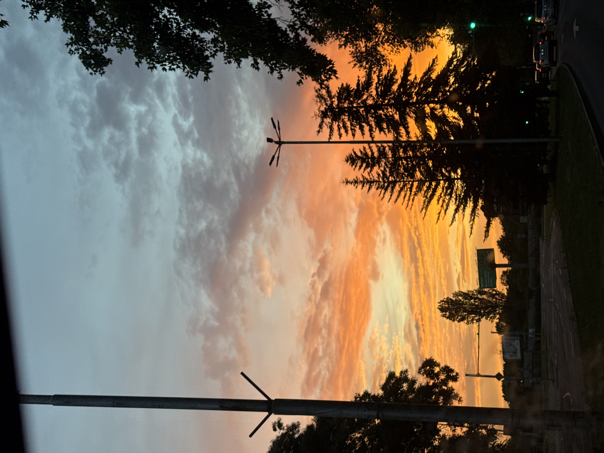 This image depicts a vibrant sunset over a road intersection in Burgas, Bulgaria. The sky is a dramatic canvas of orange, pink, and blue hues, with scattered clouds. Silhouetted against the colorful sky are several tall trees, including a cluster of pine trees, and streetlights. In the foreground, a road curves to the right, with vehicles visible in the distance. Traffic lights and road signs are also present, suggesting an urban environment. The overall impression is one of a beautiful, yet ordinary, evening scene in the city.