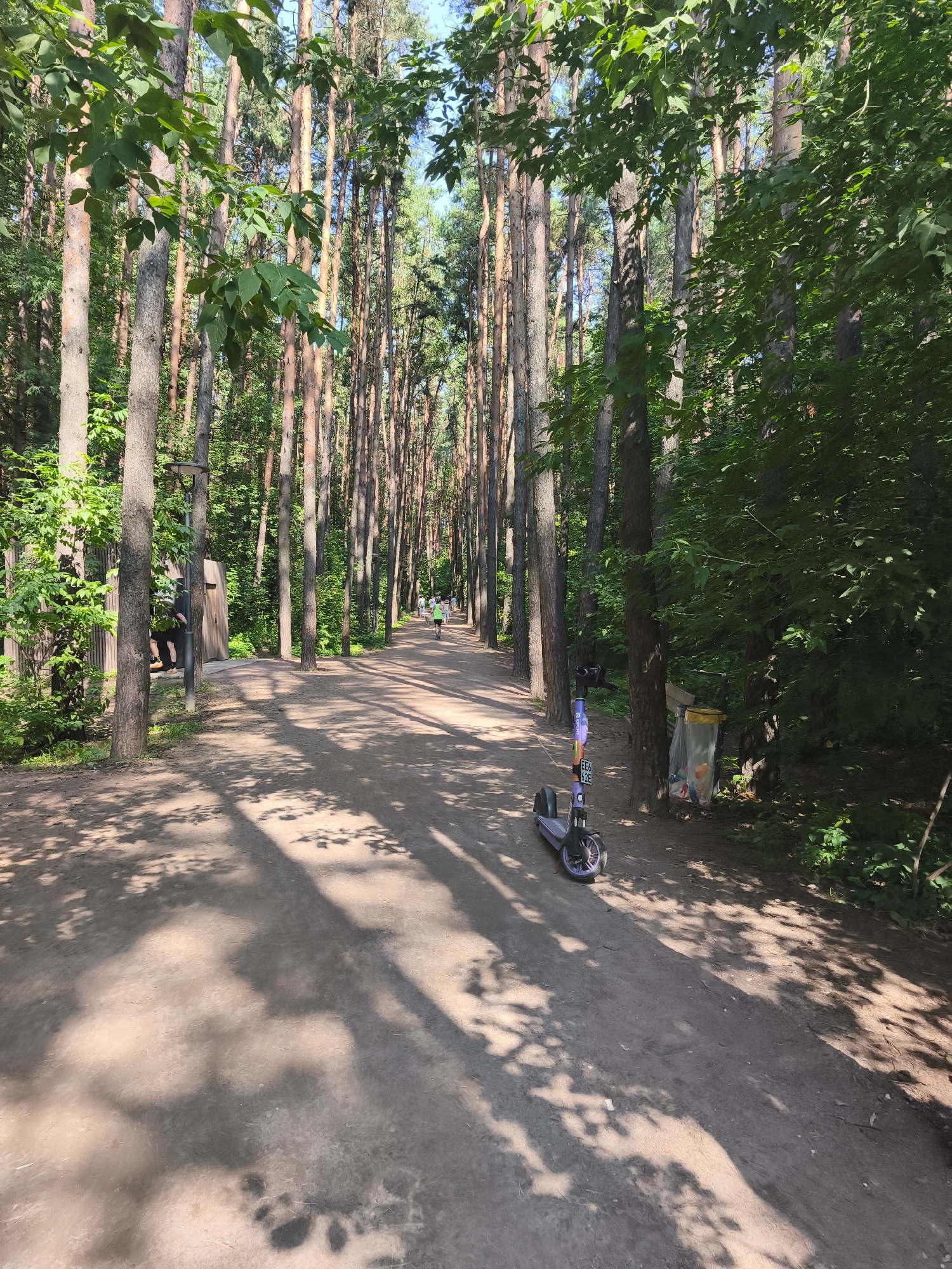 The image depicts a sun-dappled dirt path winding through a dense forest of tall pine trees. Shadows of leaves and branches are cast across the path, indicating a bright, sunny day. In the foreground on the right side of the path, a purple electric scooter is parked. Further down the path, a transparent trash bag filled with colorful items is tied to a tree, adjacent to a lamppost. A few people can be seen in the distance walking or cycling on the path. The overall scene suggests a park or recreational area within a wooded urban environment.