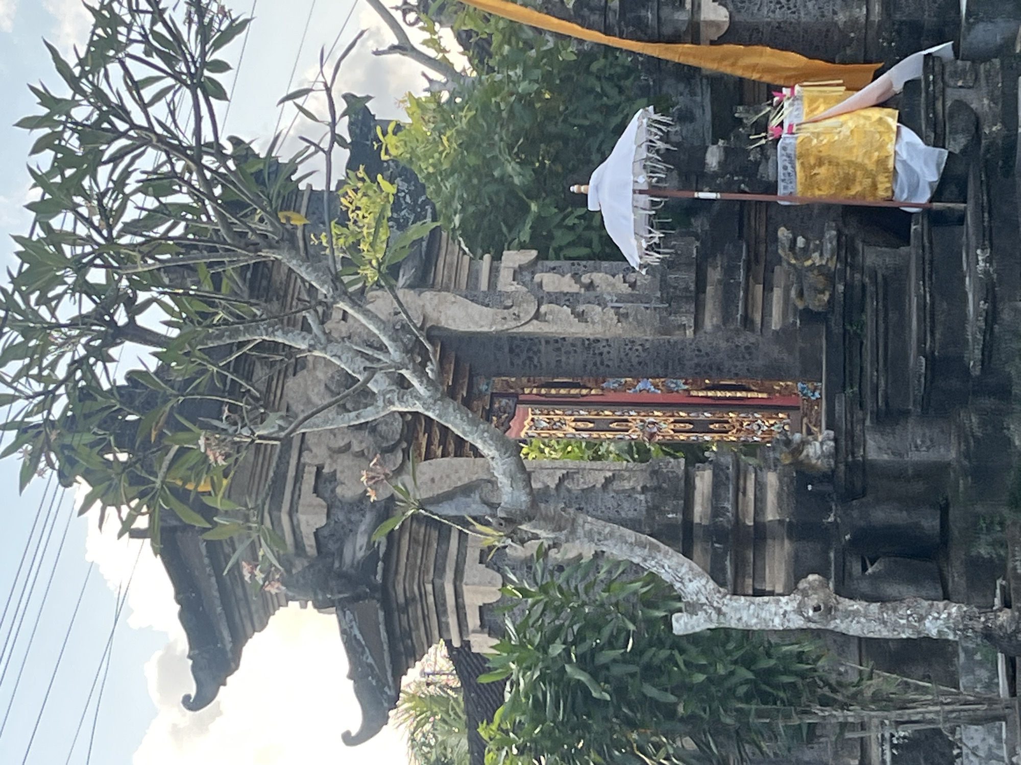 The image depicts a traditional Balinese temple gate in Mendoyo, Indonesia. The ornate stone structure features multiple tiers and intricate carvings, topped with curved, roof-like elements. A flowering tree with a gnarled trunk stands prominently in front of the gate, its branches extending across the frame. To the right of the gate, a white ceremonial umbrella with decorative fringe is positioned next to offerings wrapped in golden and white fabric, adorned with pink flowers and thin sticks. A vibrant yellow flag is visible on the far right. The gate itself has a richly decorated entrance with intricate patterns in red, gold, and black. Lush green foliage surrounds the temple, suggesting a tropical environment. The sky above is a pale blue with scattered clouds, and power lines are faintly visible. The scene is captured during daylight.