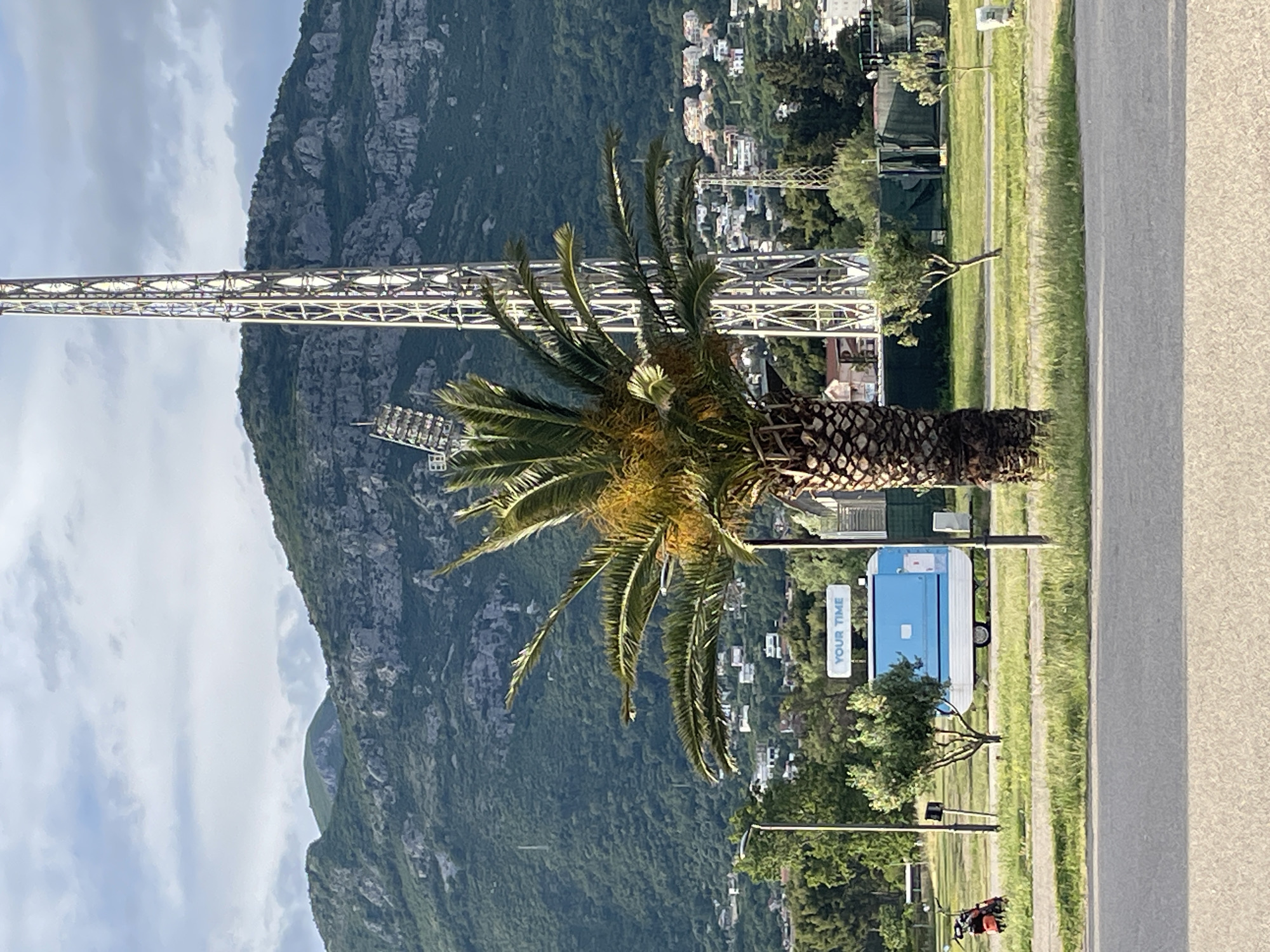 The image shows a palm tree in front of a mountain landscape, likely in Bar, Montenegro. A communications tower is visible behind the tree, and buildings are interspersed on the mountainside. A portable toilet unit with the text "YOUR TIME" on its side is situated along a grassy area next to a road. A utility vehicle and other trees are also present. The weather appears partly cloudy.