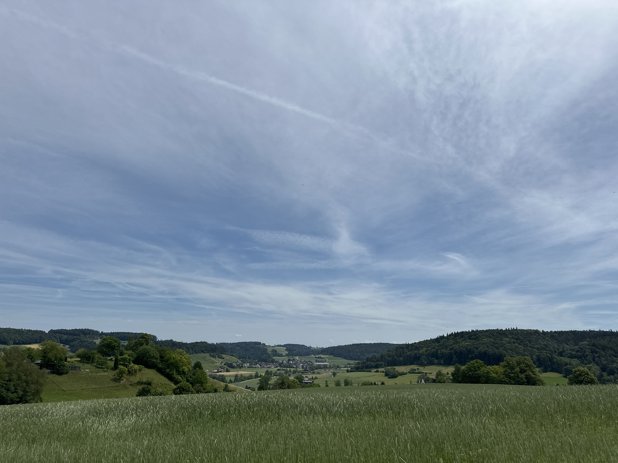 A wide, low-angle shot captures a rural landscape under a cloudy sky. In the foreground, a field of green, unripe grain stretches across the frame. Beyond the grain, rolling green hills are dotted with trees and some buildings. A small village is visible in the middle ground, nestled in a valley between the hills. The background consists of a densely forested hillside. The sky is a pale blue, with wispy white clouds streaking across it. The scene appears to be located in or near Lufingen, Switzerland, based on the characteristic rolling hills and lush vegetation. No people are visible in the image.