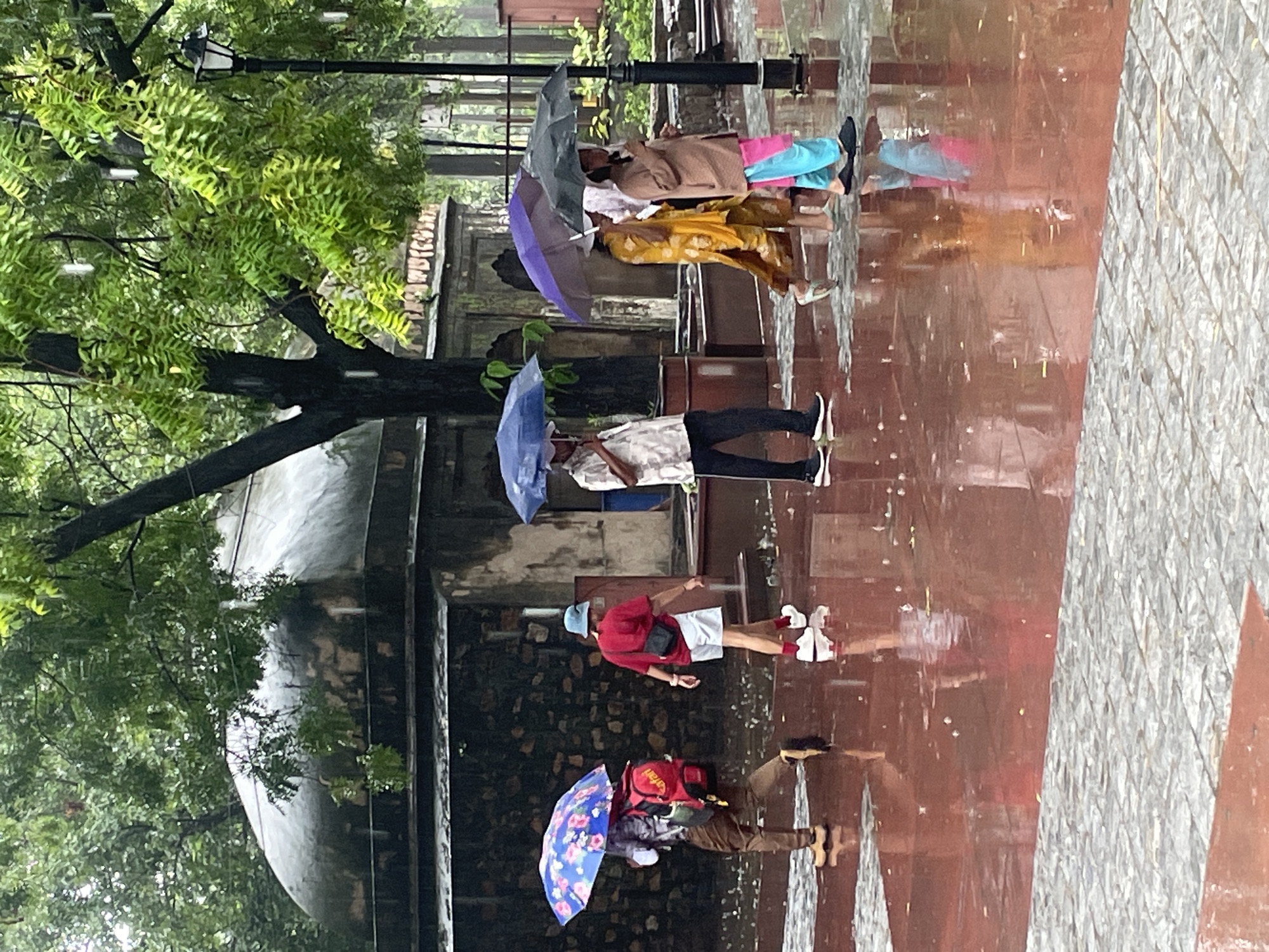 In this image, several people walk under umbrellas on a wet, reflective paved surface, suggesting it is raining. The ground appears to be a reddish-brown color, possibly polished stone or wet asphalt, with a lighter gray cobblestone path in the foreground. In the background, a large, weathered domed structure stands amongst lush green trees. A black lamppost is visible to the right. The people are dressed in casual attire, with some carrying bags. The overall scene conveys a sense of a rainy day in an outdoor public space. This scene is likely in the city of Delhi, India, given the architectural style of the domed structure and the general appearance of the vegetation.