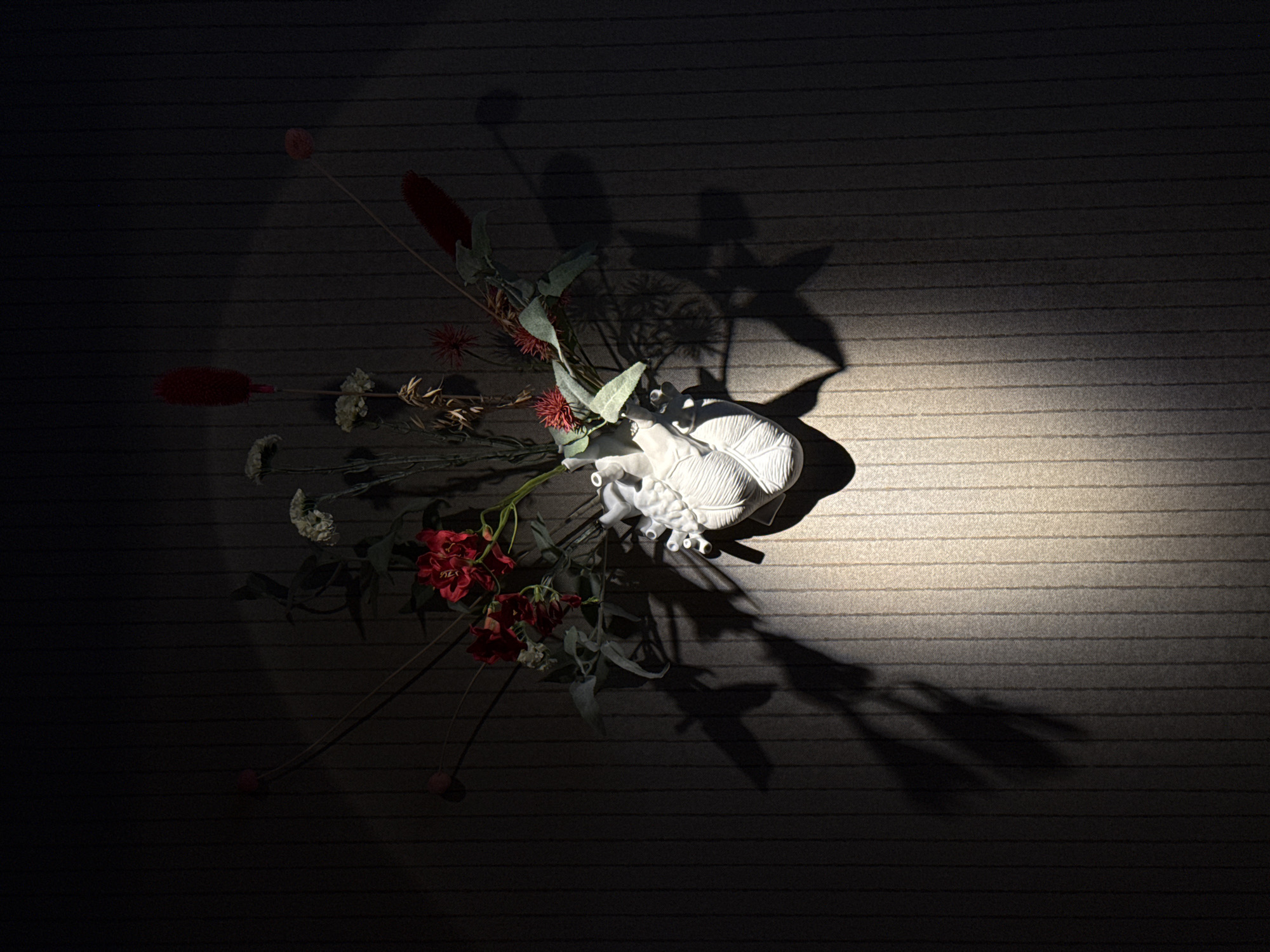 This media file is a top-down photograph of a white ceramic heart sculpture intertwined with dried floral elements. The sculpture is detailed, with sculpted ventricles and a ribbed texture resembling a sternum or the interior of a rib cage. The dried flowers include some red, spiky blossoms, delicate white flowers, and elongated red seed pods. The arrangement is placed on a textured surface, possibly a textile, with subtle horizontal stripes.
The scene is dramatically lit from the right, casting long, angular shadows across the surface. The light highlights the sculpture and a portion of the flowers, leaving much of the background in deep shadow. This lighting suggests a specific time of day, likely late afternoon or early evening when the sun is low, or an artificial light source used to create a chiaroscuro effect.
There are no people visible in the image. The activity taking place is not apparent, as it is a still life composition. The setting appears to be indoors, given the controlled lighting and the nature of the arrangement. There are no visible text elements within the image. The overall mood is somewhat melancholic and artistic, emphasizing the contrast between the sterile white of the sculpture and the organic decay of the flowers, amplified by the stark lighting and shadows. The location context of Nizhny Novgorod, Russia, does not provide specific visual cues within this image.