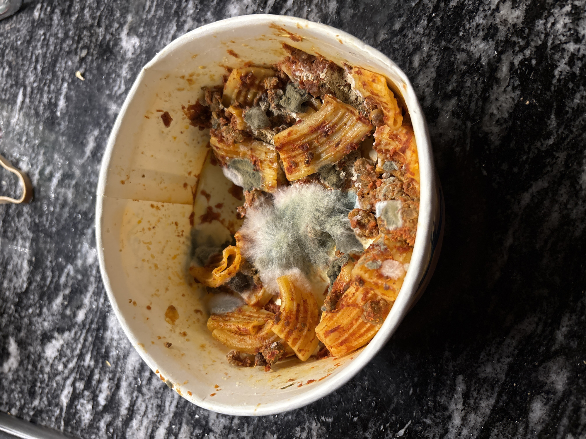 A close-up, overhead shot displays a white, cylindrical food container filled with moldy pasta. The pasta appears to be rigatoni in a tomato-based sauce. Patches of green, white, and grey mold are visible throughout the dish. The container sits on a dark, marble-patterned surface. No people are visible in the image. The location is not discernible from the image.
