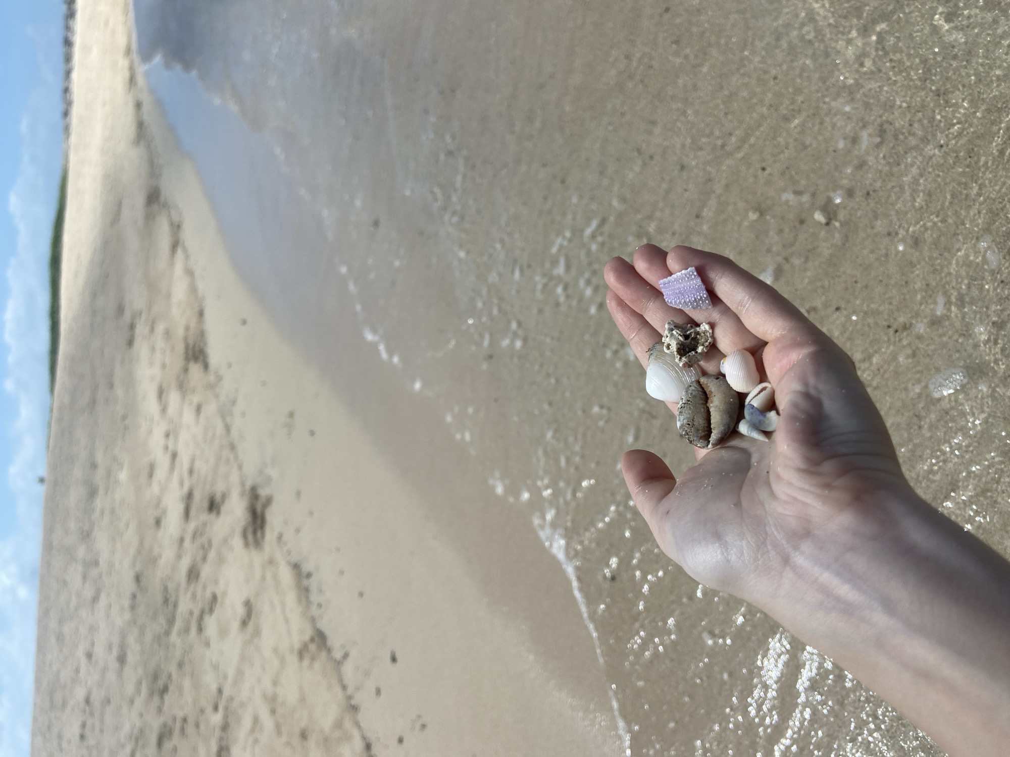 The image shows a hand holding various seashells and a small purple object on a beach. The scene appears to be set on a sandy beach with shallow water and sunlight reflecting off the wet sand and water. The location is Kuta Selatan, Indonesia.