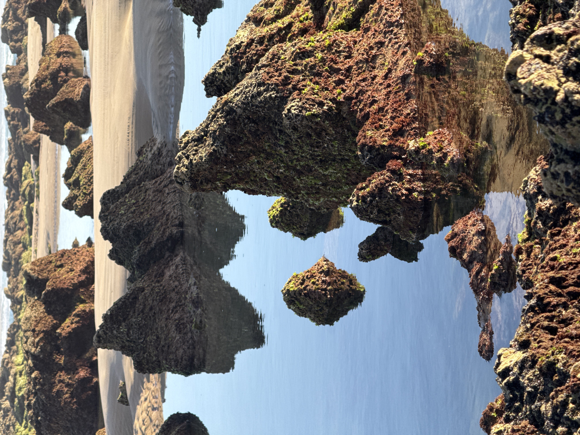 The image depicts a rocky coastline with tidal pools. In the foreground, rough, dark-brown rocks covered in patches of green algae are partially submerged in shallow, calm water. These rocks are textured and jagged, with some appearing eroded. In the middle ground, larger formations of similar rocks rise out of the water and are surrounded by sandy areas with ripples. The water reflects the sky and the rocks, creating a serene atmosphere. In the background, more rocky formations and sandy patches extend towards the horizon, with the ocean or sea visible in the distance. The lighting suggests it is either early morning or late afternoon, with soft, warm light illuminating the scene. The location is the rocky coast of Biarritz, France, known for its dramatic geological features and ocean views. There are no people or animals visible in the image.