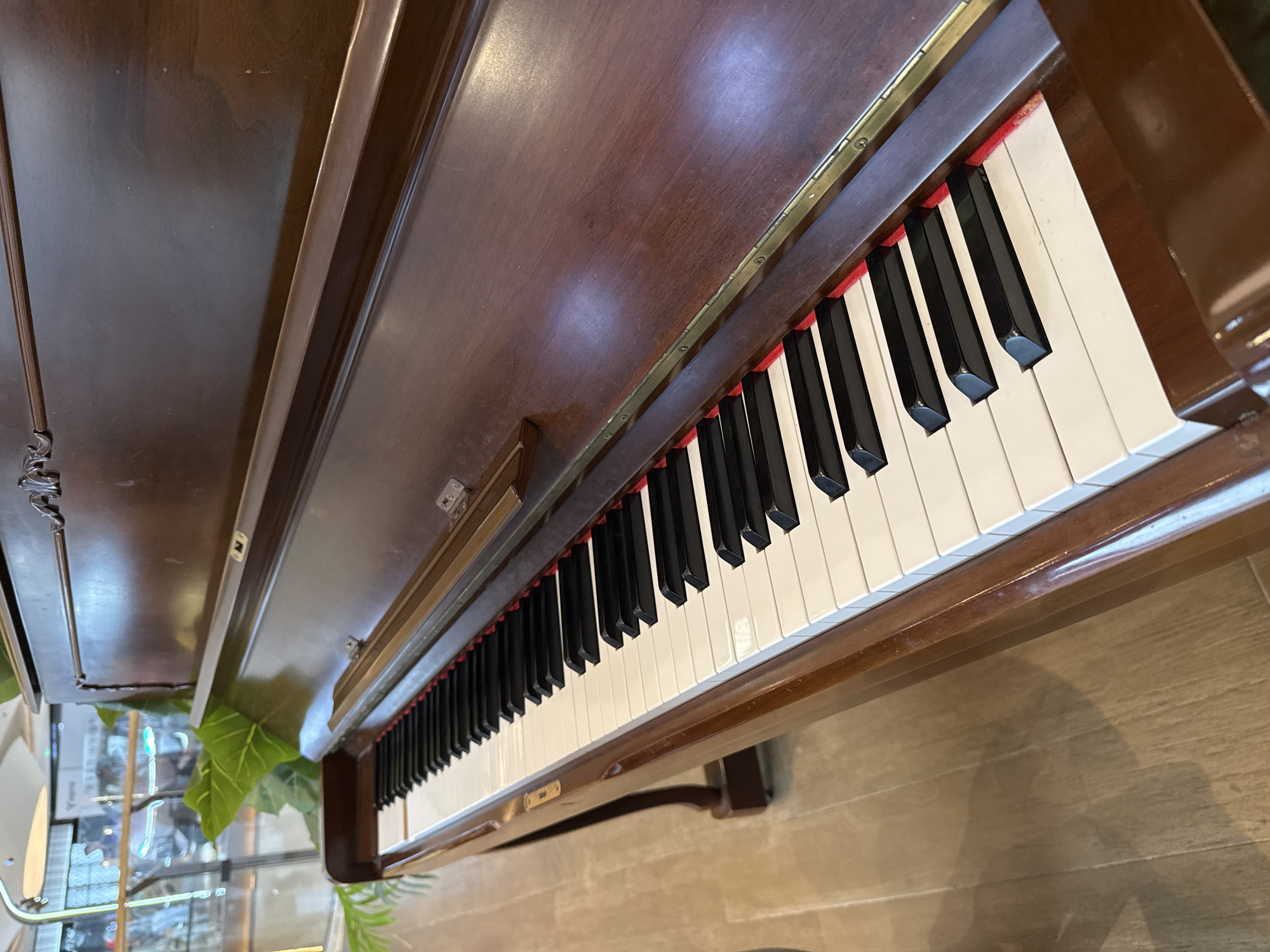 The image shows a close-up, angled view of an upright piano, with a focus on its keyboard and wooden casing. The piano is dark brown, with a polished finish reflecting light in several areas. The keyboard features white and black keys, with the red felt beneath the keys visible. The piano is positioned on a light-colored wooden floor. In the background, blurred elements suggest an indoor environment, possibly a public space or a well-lit interior. A large green plant is visible to the left, partially obscuring the view of the background. No people are present in the frame, and no actions or interactions are depicted. The scene is static and the focus is entirely on the piano and its immediate surroundings. The location in Liangjiang, China is not discernible from the visual information present in the image.