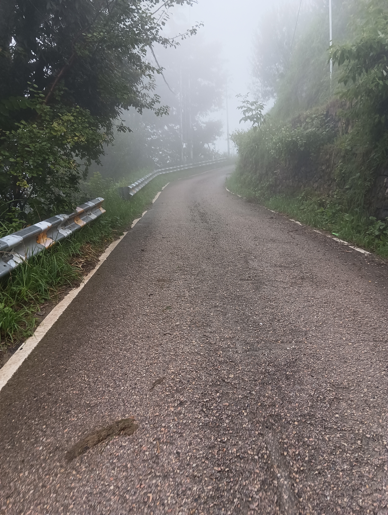 A winding, asphalt road curves through a foggy, mountainous landscape in Siumsa, India. The road is bordered on the left by a metal guardrail and lush green grass, and on the right by a steep, vegetated embankment. Trees and foliage are visible on either side of the road, partially obscured by the dense fog. The overall atmosphere is serene and slightly mysterious due to the low visibility.