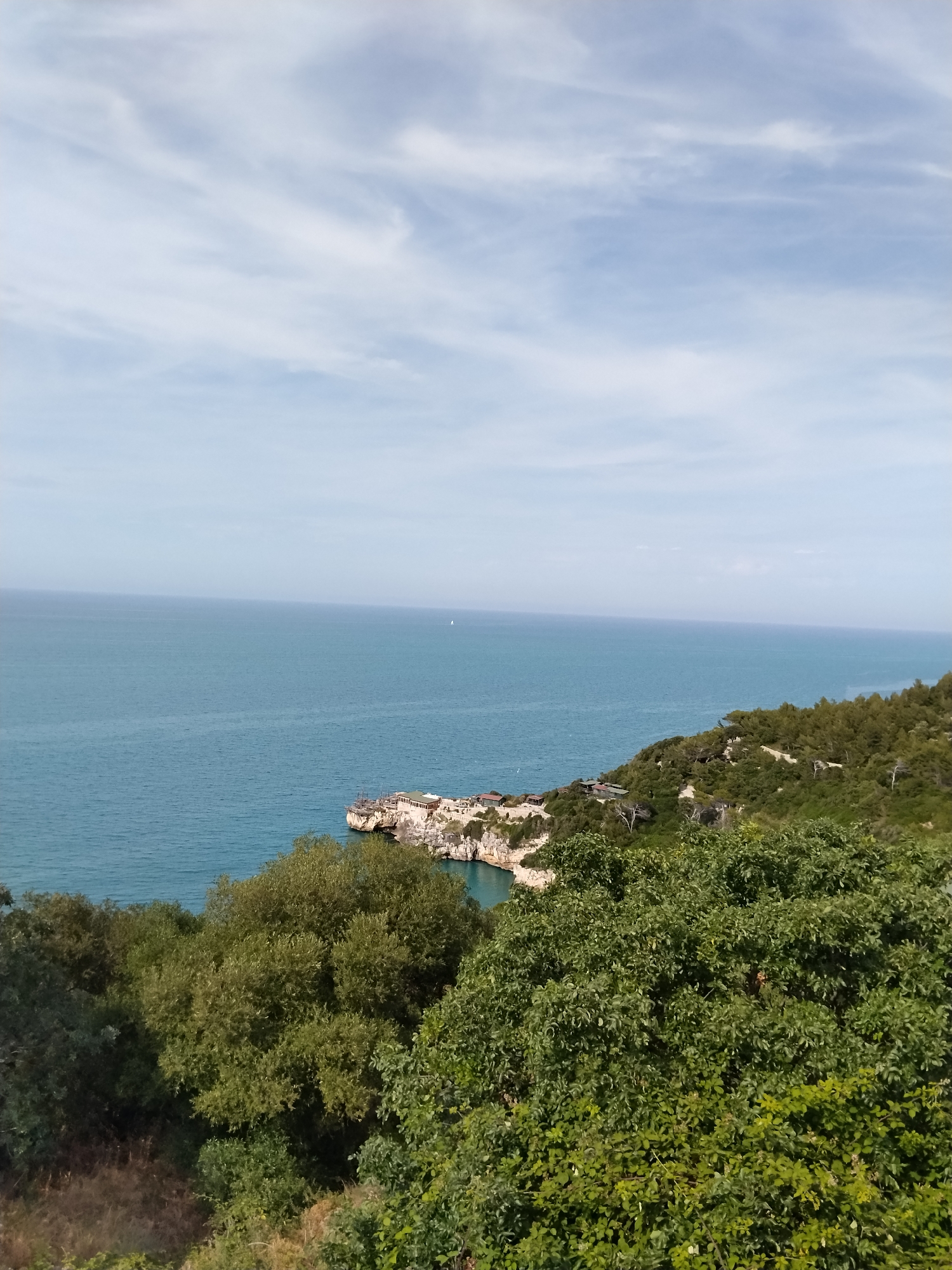 This image presents a high-angle view of the Adriatic Sea coastline in Vico del Gargano, Italy. The upper third of the frame is occupied by a pale blue sky featuring scattered, wispy white clouds. The central portion of the image displays a vast expanse of calm, deep turquoise-blue water, extending to a faint horizon line. A small white sailboat is distantly visible on the sea surface, slightly right of center. The lower half of the image showcases a rugged coastline composed of rocky outcrops and cliffs. These landforms are densely covered with abundant green vegetation, primarily comprising various species of trees and shrubs. On a prominent rocky peninsula that extends into the sea from the right side, multiple light-colored buildings with dark roofs are visible, forming a clustered structure. Further along the coastline to the left, additional similar structures are nestled within the dense greenery. The immediate foreground is dominated by the lush, dark green canopy of trees and foliage, indicating an elevated perspective. No people or overt human activities are discernible within the frame.